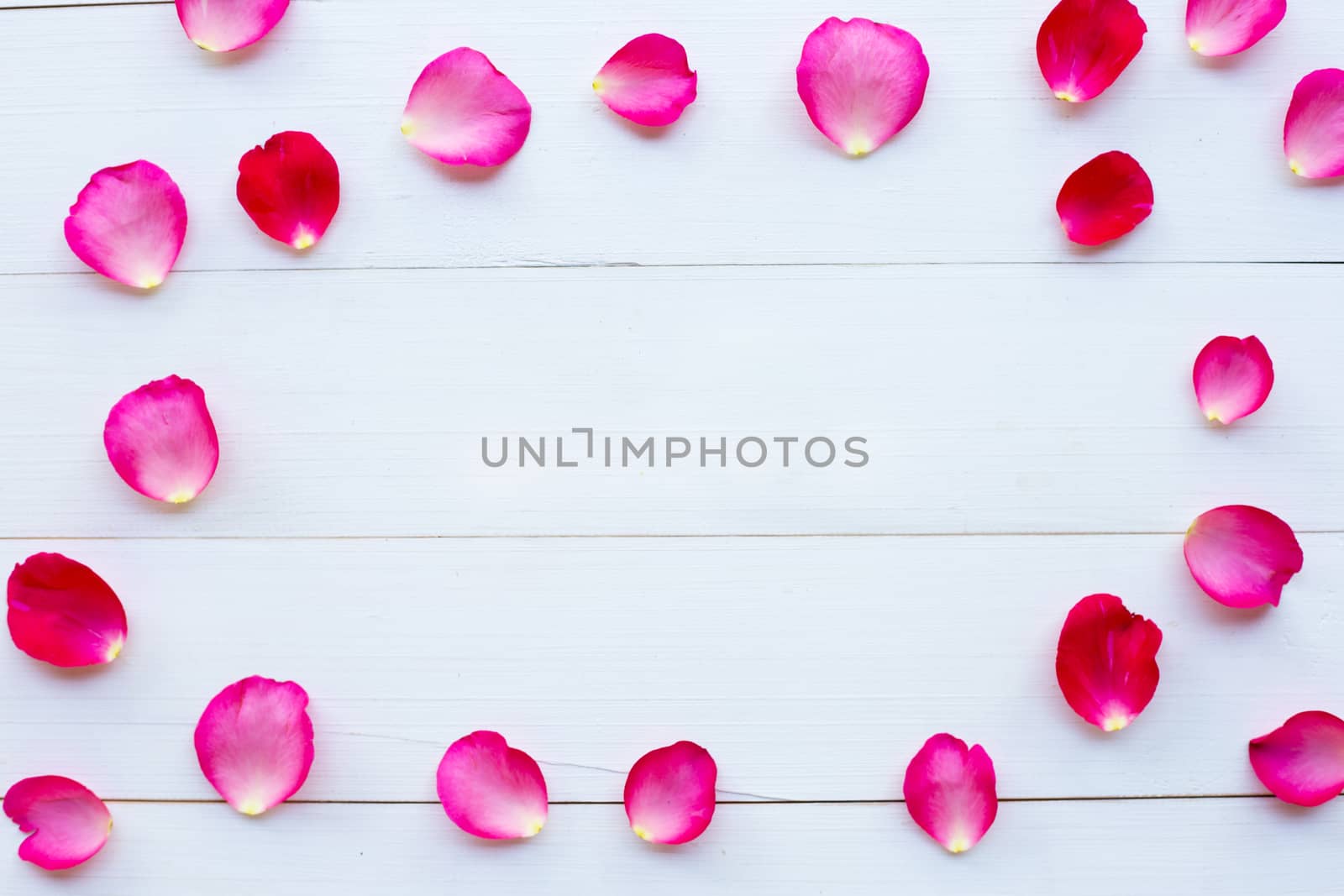 Rose petals on white wooden background.