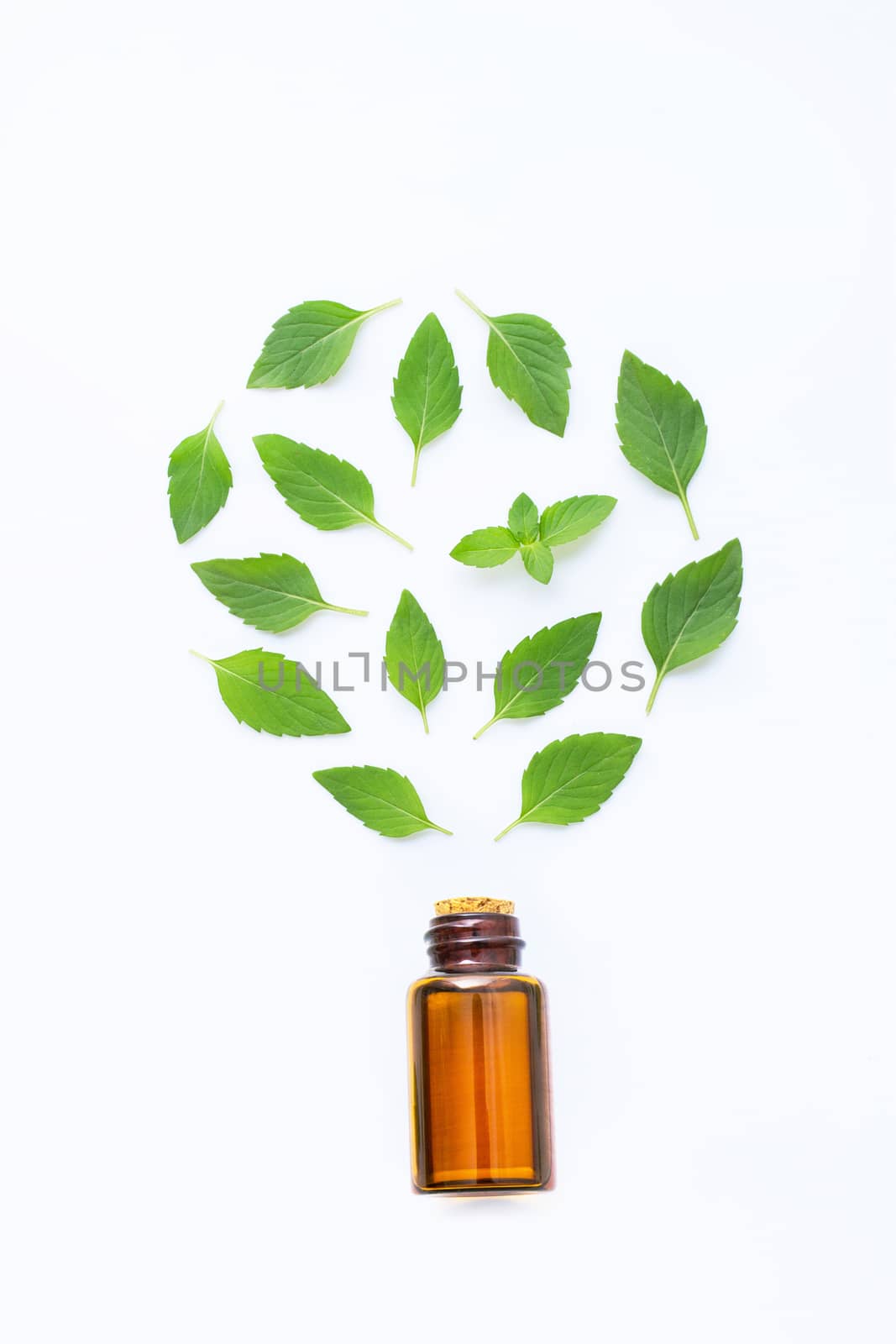 Essential oil with fresh mint leaves on white. by Bowonpat