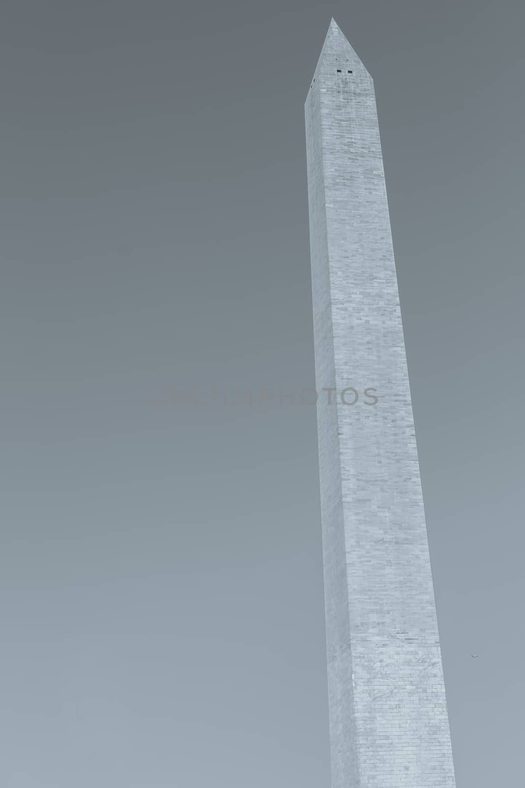 Washington Monument tall obelisk in National Mall Washington DC commorating George Washington, USA.