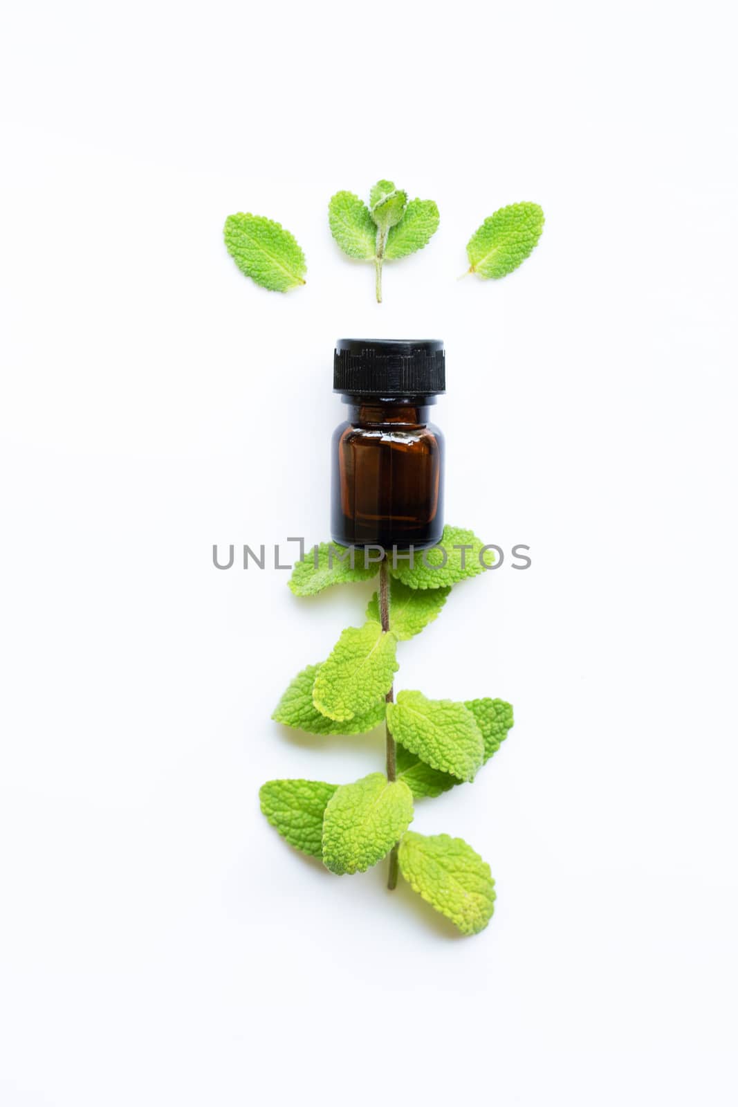 Essential oil with fresh mint leaves on white background. by Bowonpat