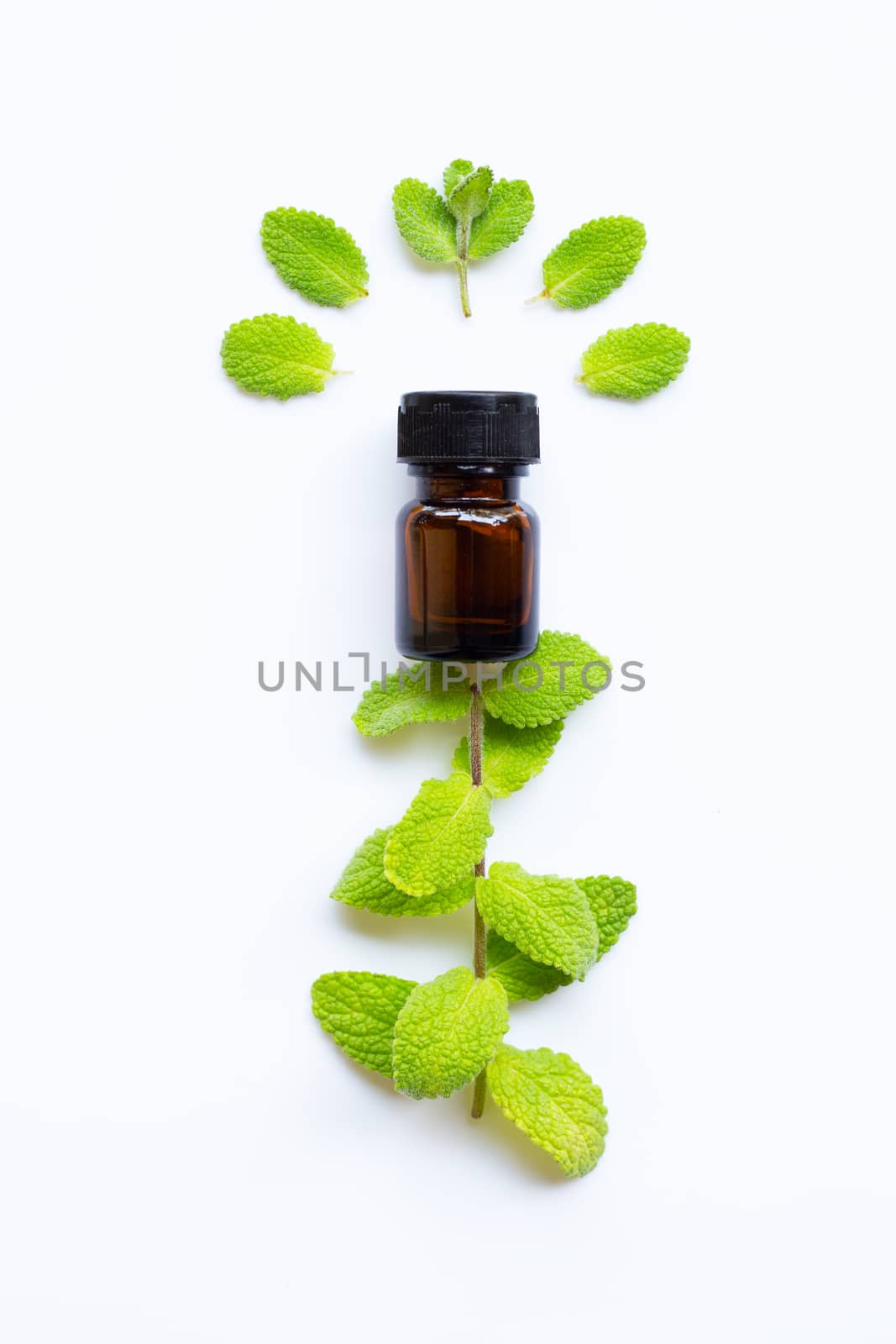 Essential oil with fresh apple mint leaves on white  background.