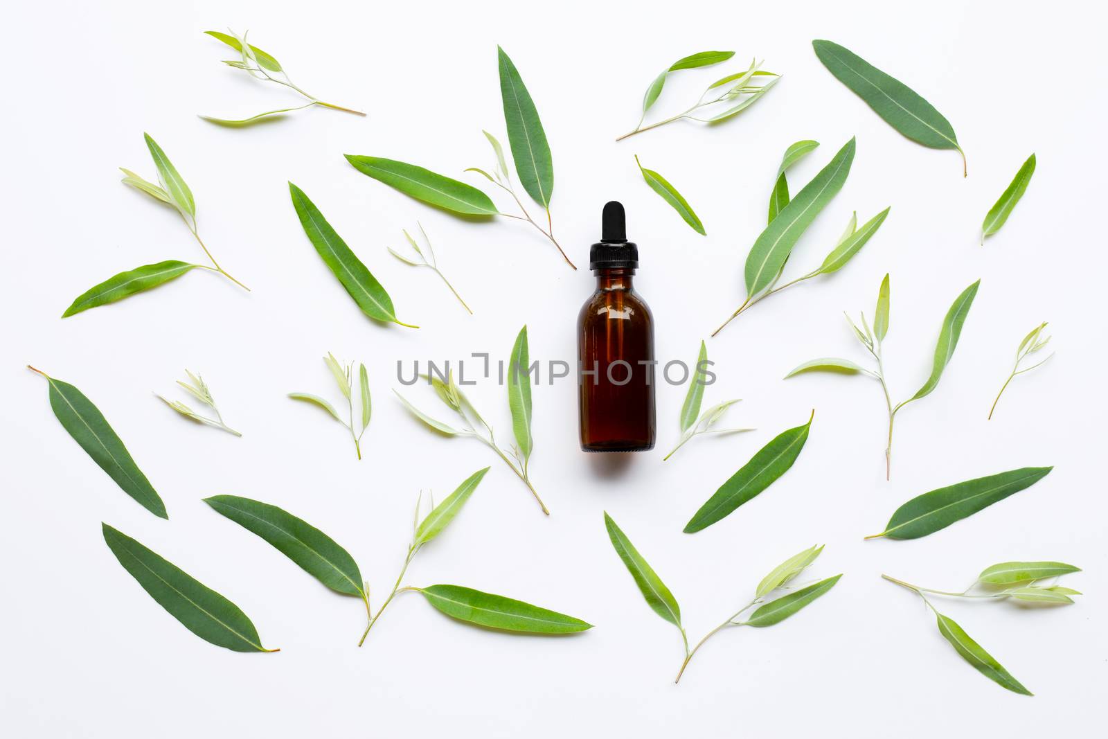 Eucalyptus essential oil bottle with  leaves on white. by Bowonpat