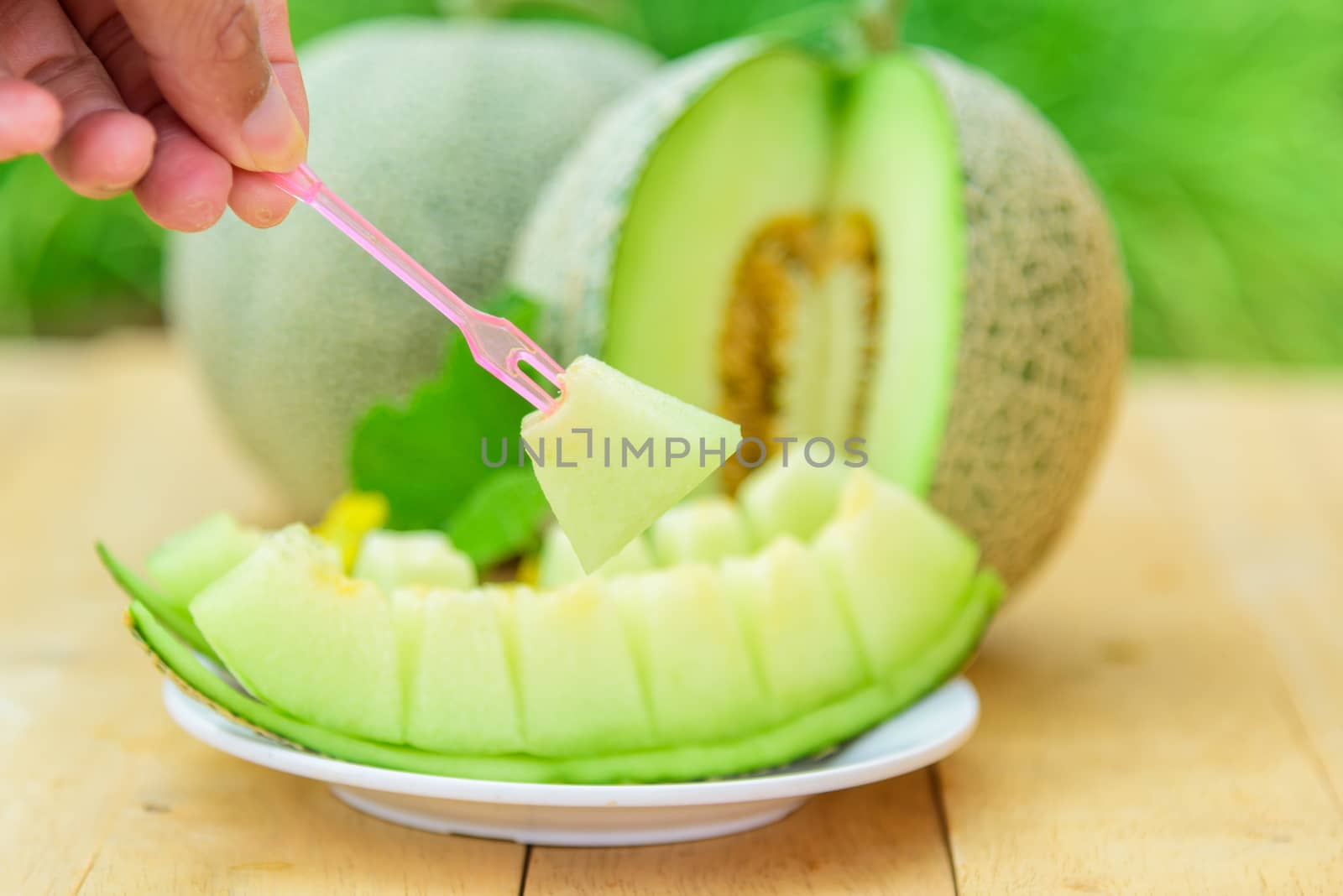 a piece of fresh green melon