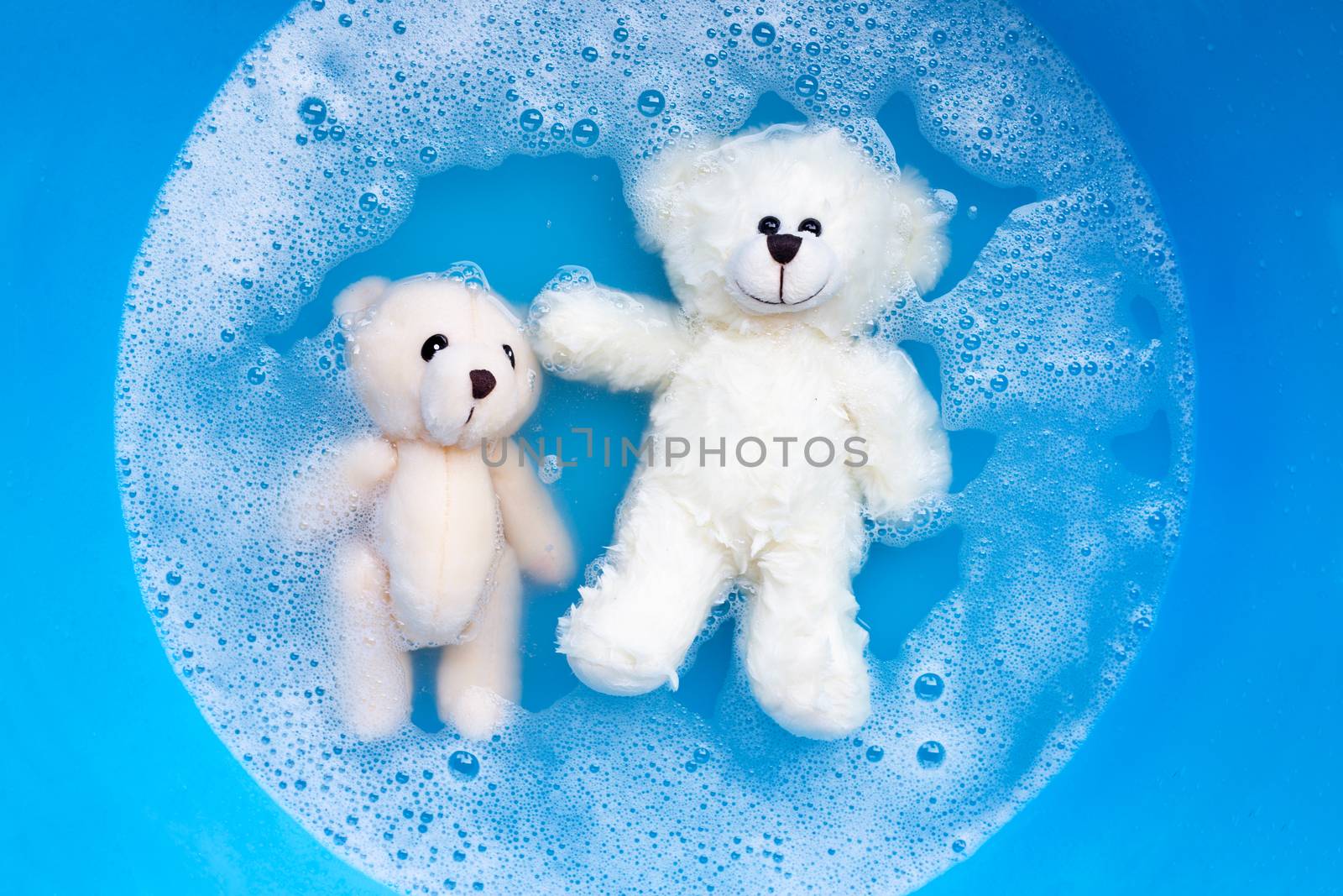 Soak  two toy bears in laundry detergent water dissolution befor by Bowonpat