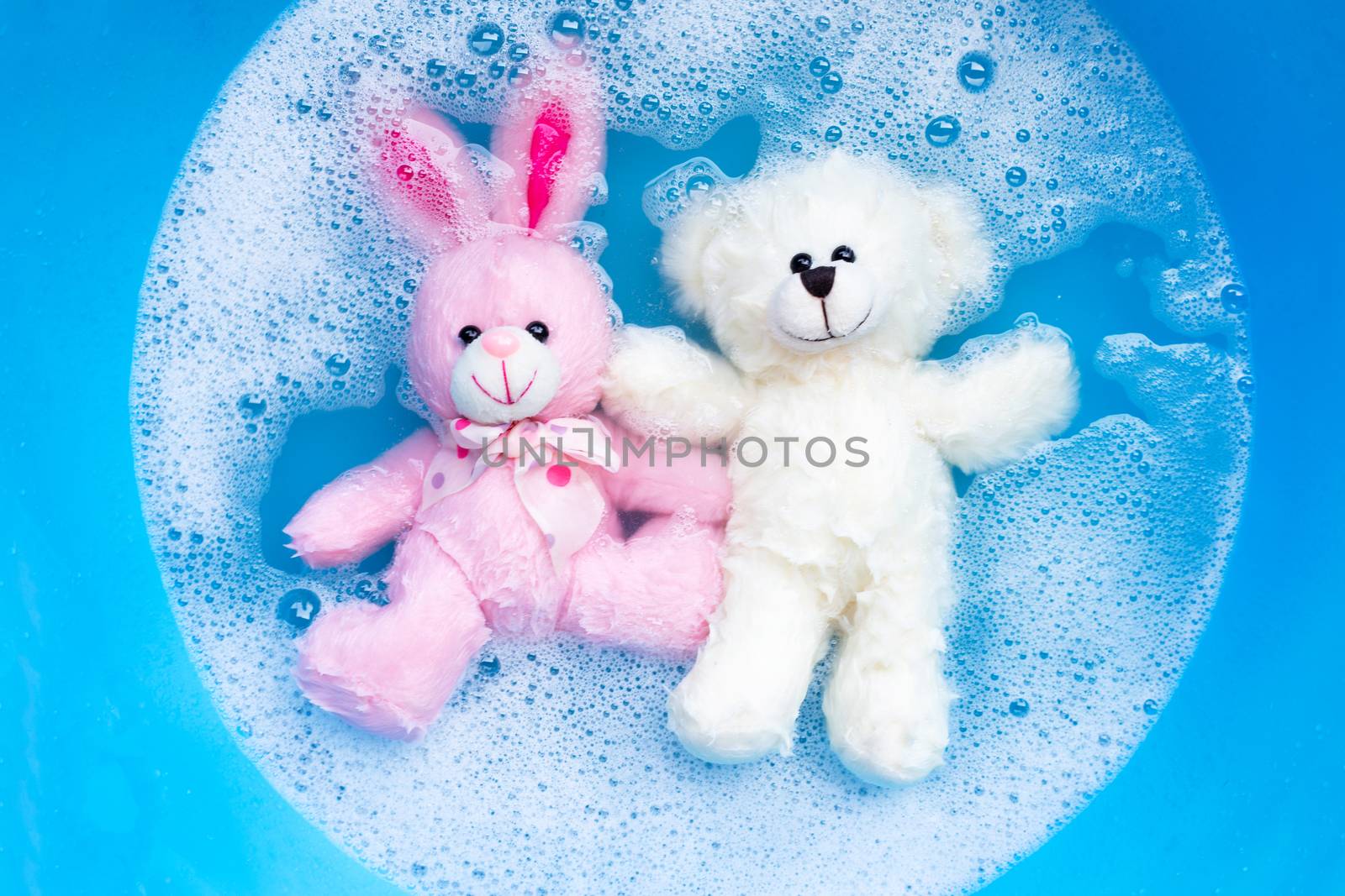 Soak rabbit doll with  toy teddy bear in laundry detergent water by Bowonpat