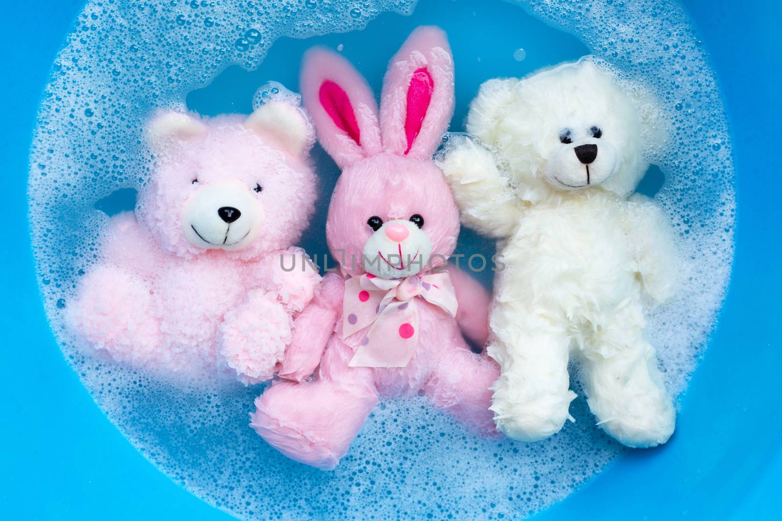 Soak rabbit doll with  toy bears in laundry detergent water diss by Bowonpat