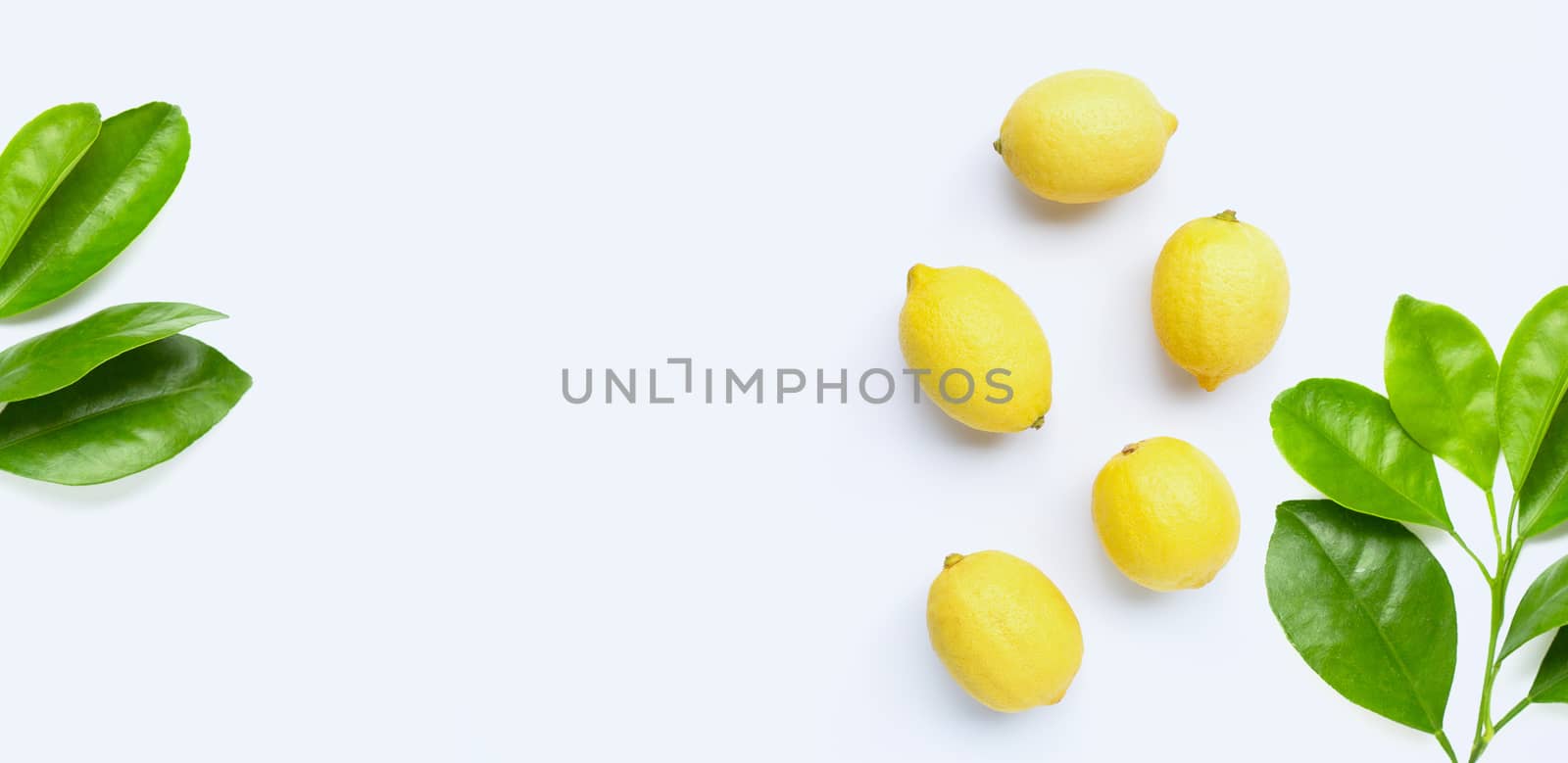 Fresh lemons with green leaves on white background. Copy space