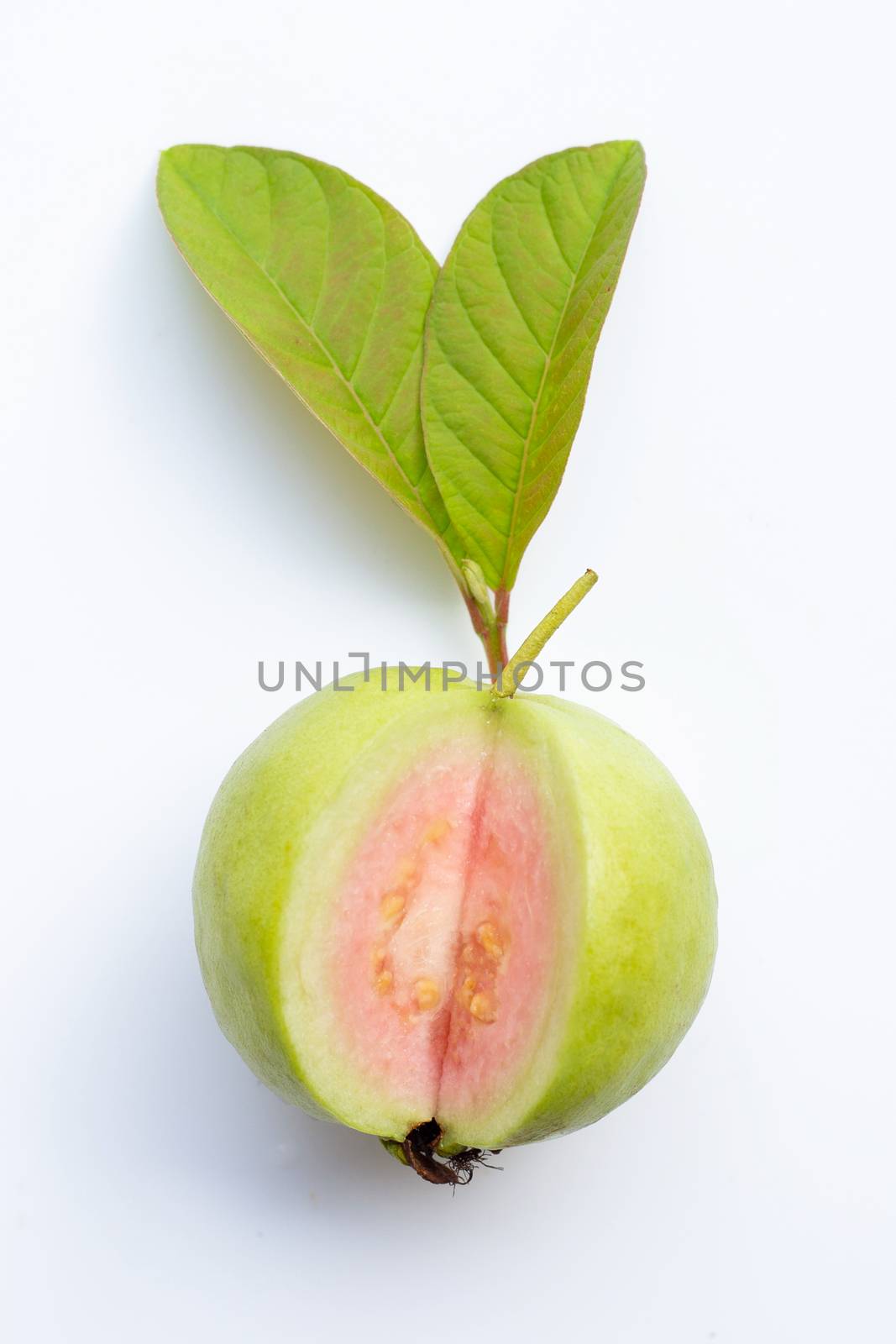 Fresh ripe guava with leaves on white background.