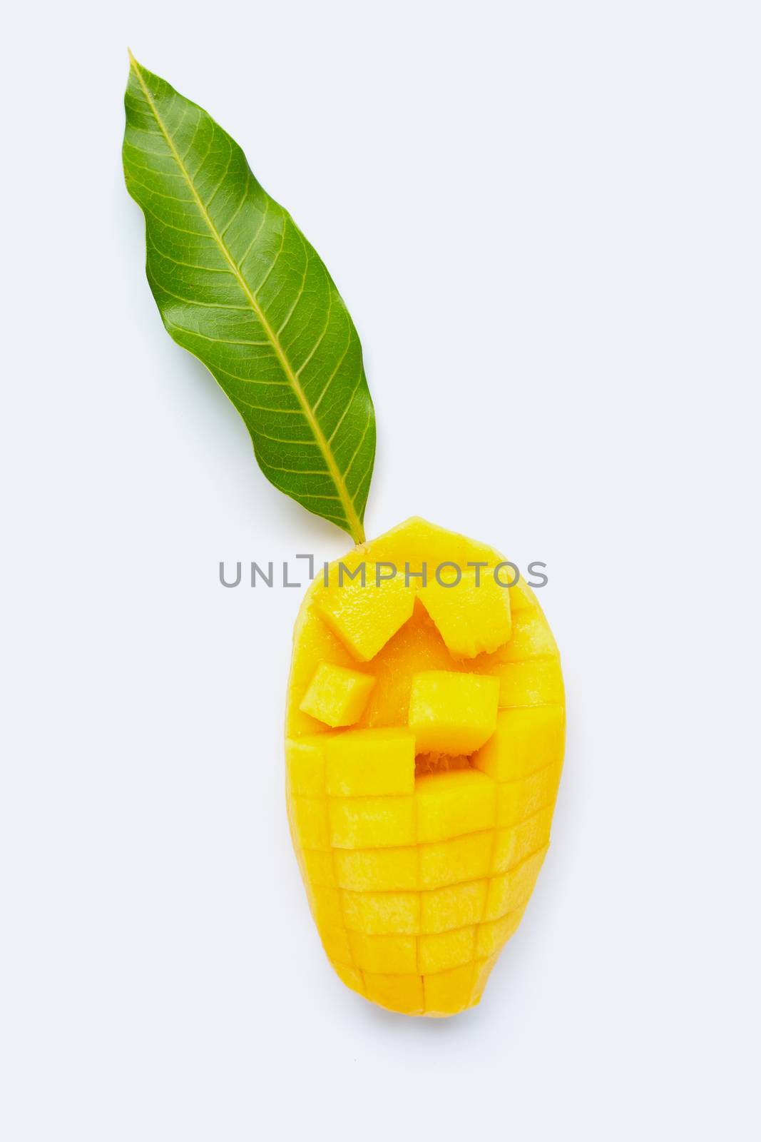 Tropical fruit, Mango  on white background. Top view