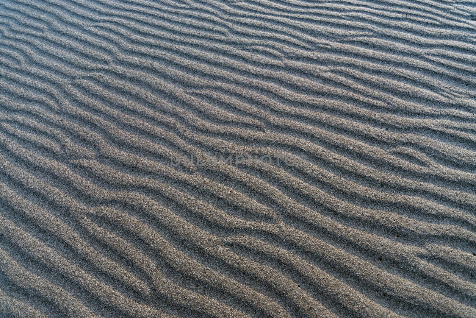 The rolling sands of Bruneau Dunes, Idaho.