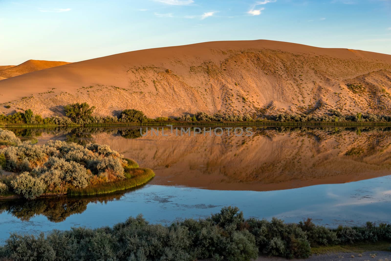 Desert oasis of water with vegetation along with blue sky and clouds at Bruneau Dunes, Idaho.