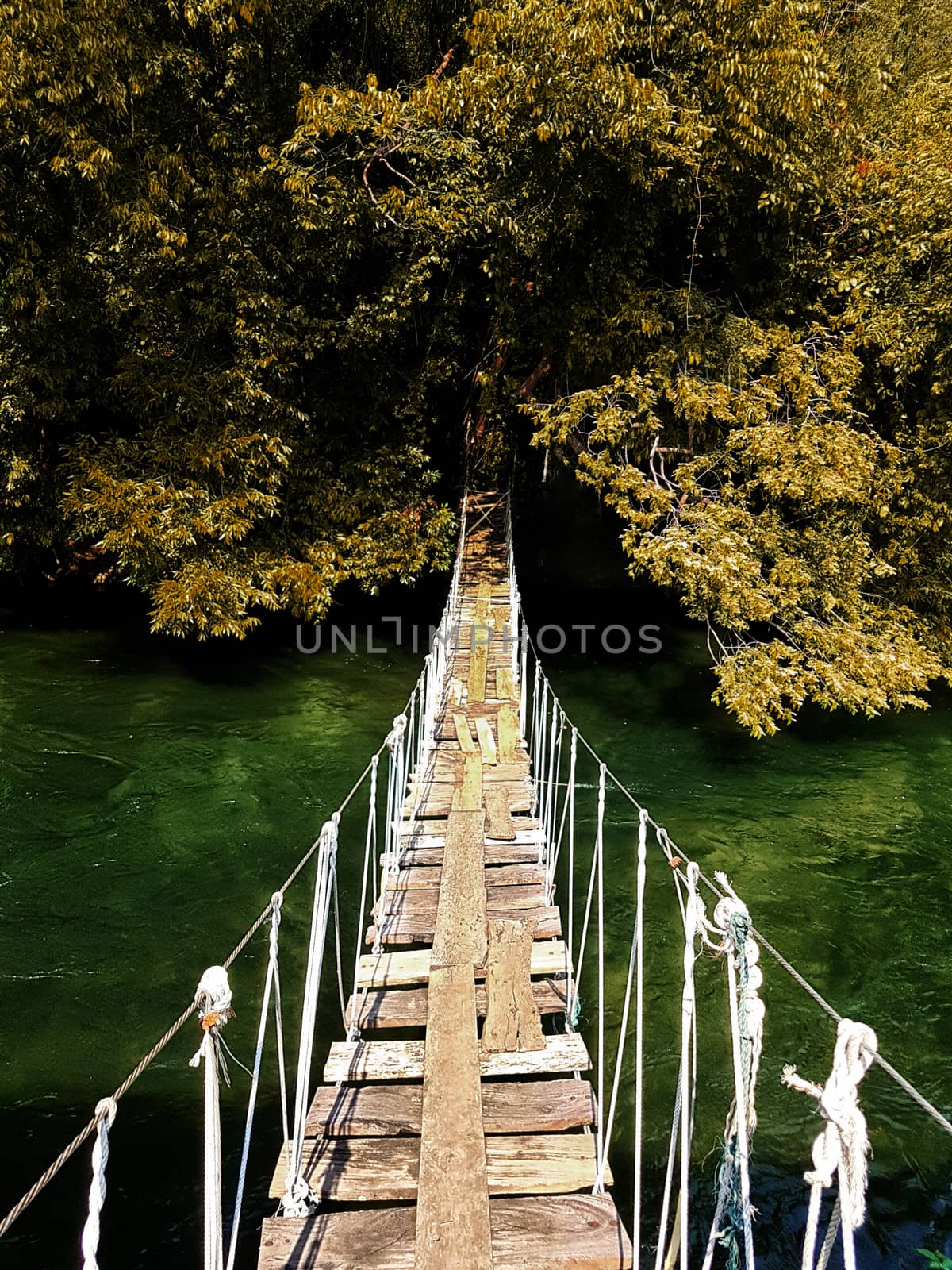 old wooden hanging suspension bridge crossing the river to the forest in autumn season with leaves color change. beautiful nature for background by asiandelight