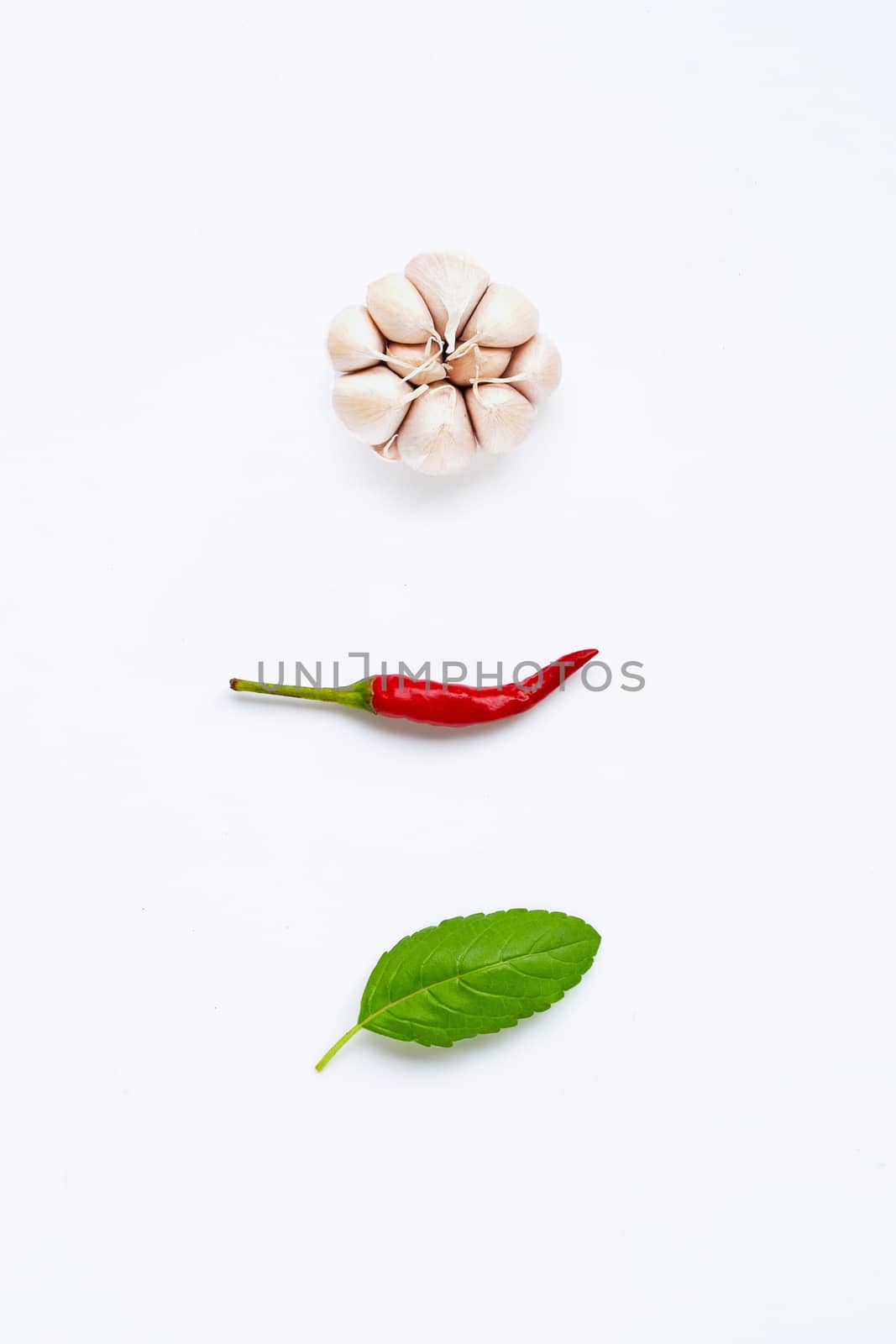 Ingredients herb and spice, holy basil, chili and garlic on white background. Healthy eating concept