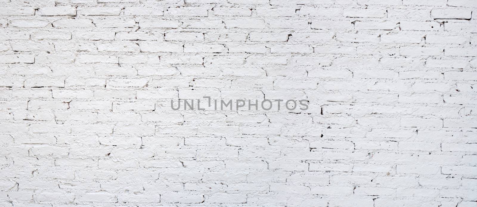 White brick wall for background.