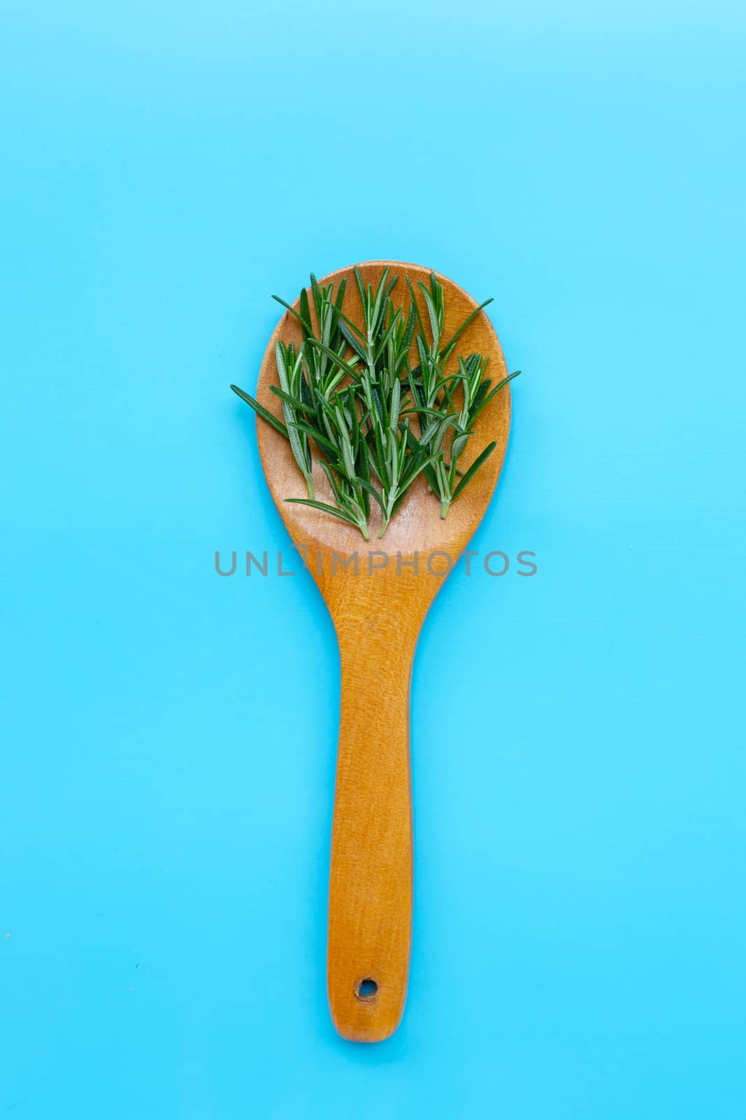 Fresh rosemary on wooden spoon on  blue background. Top view