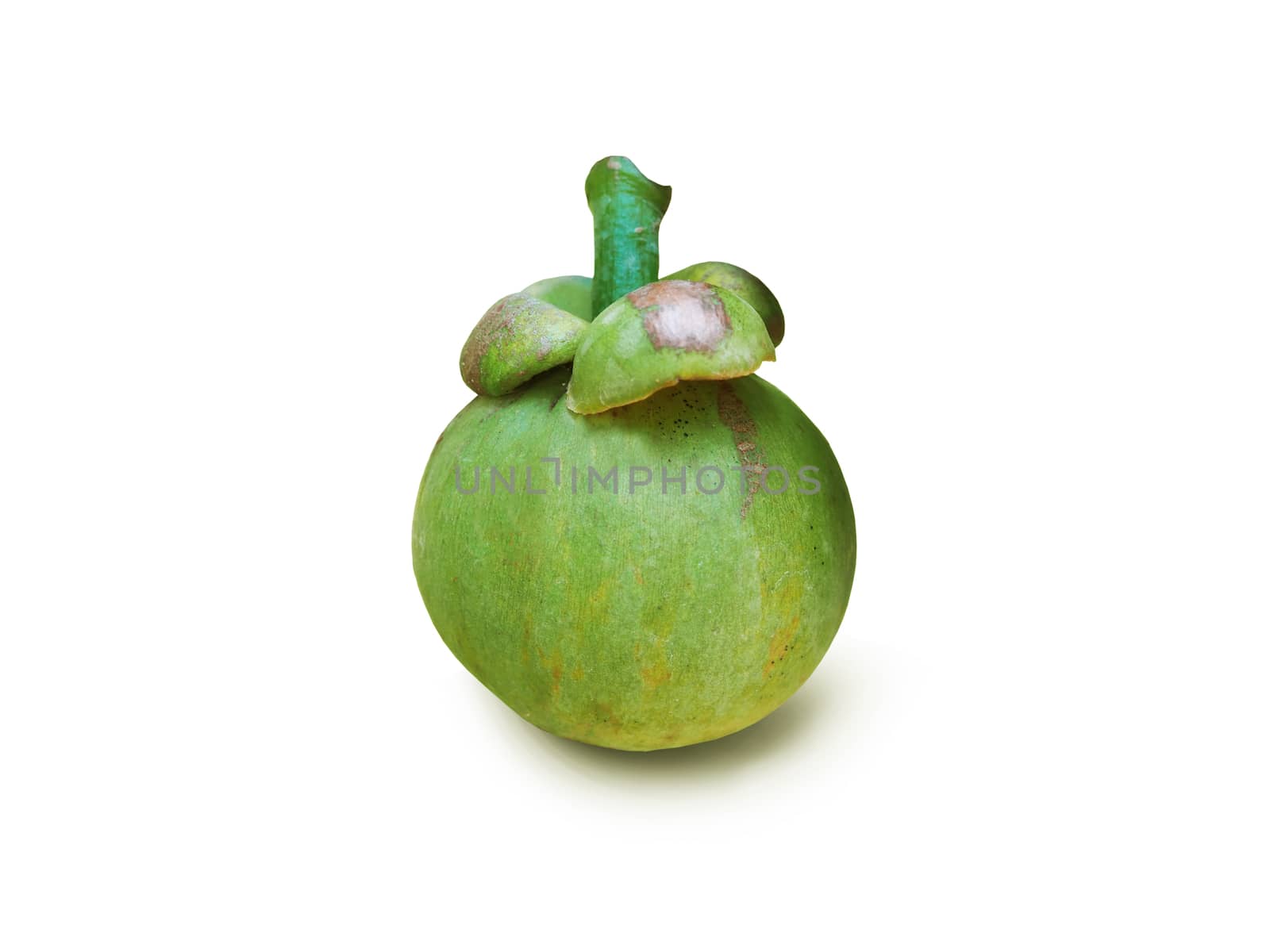 Green mangosteen On a white background