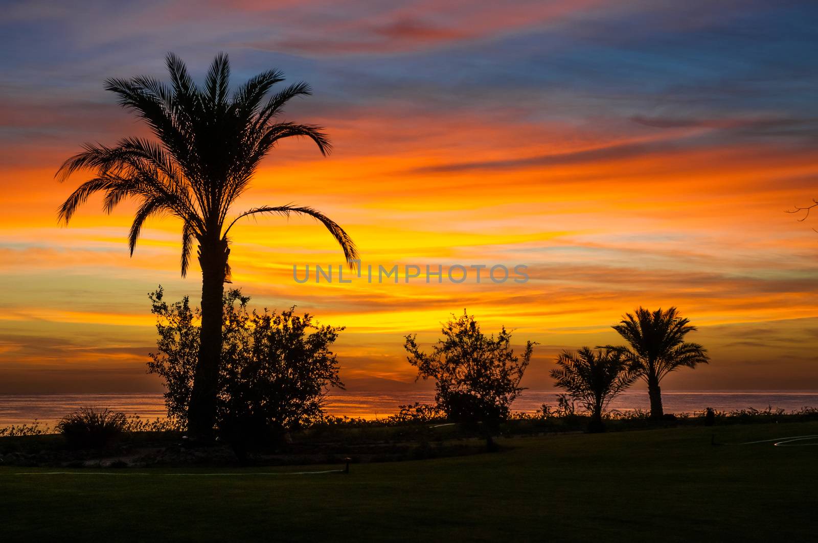 A nice sunrise on the Red Sea in Egypt