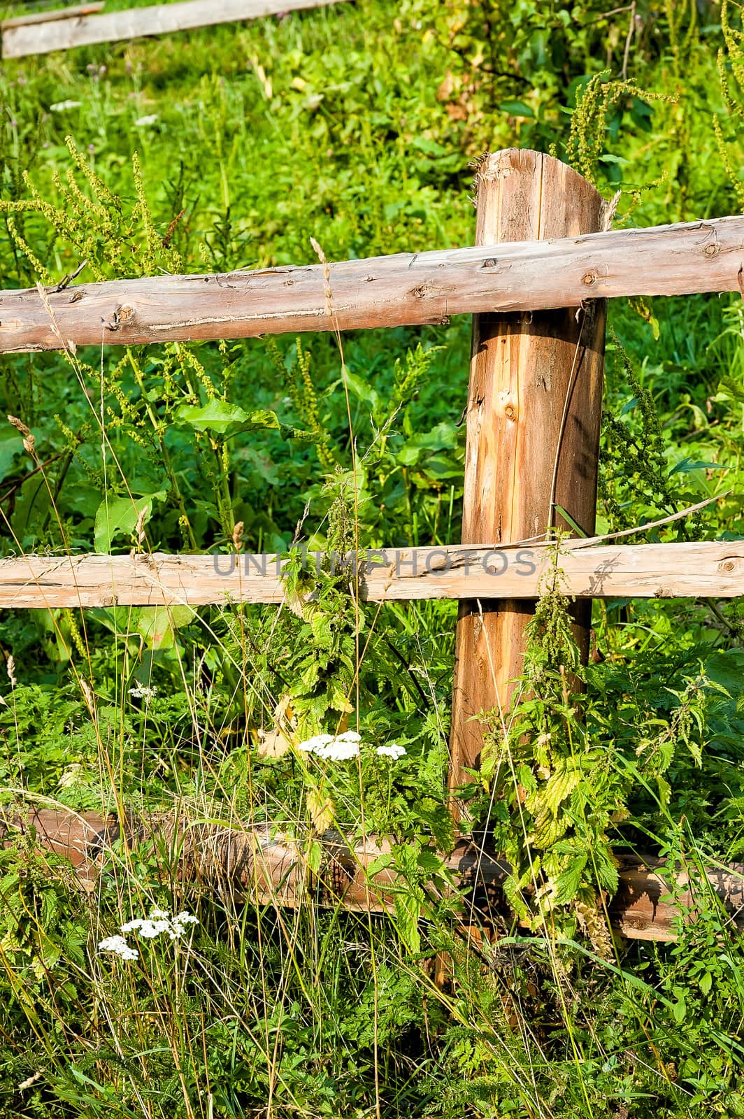 A detail of a wooden fence in the Ukrainian Carpathian Mountains