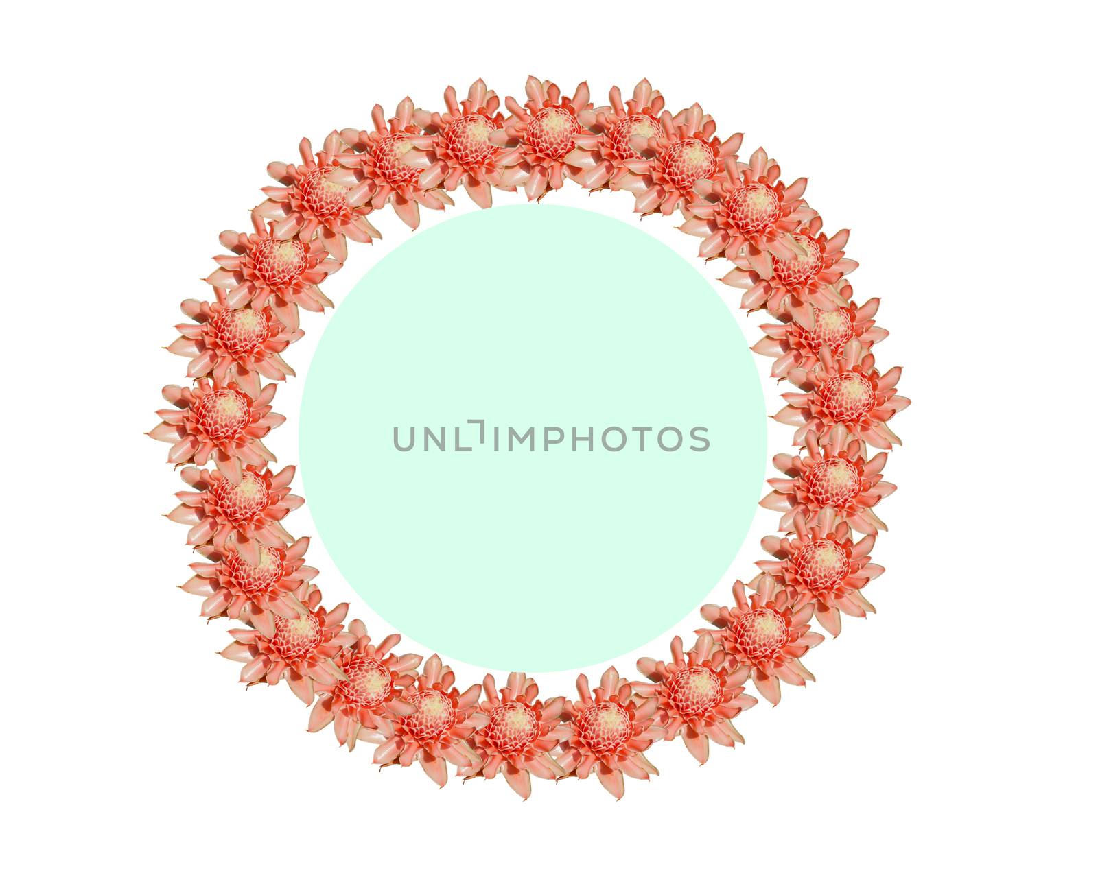 Round flower frame Made of pink flowers separated from a white b by Unimages2527