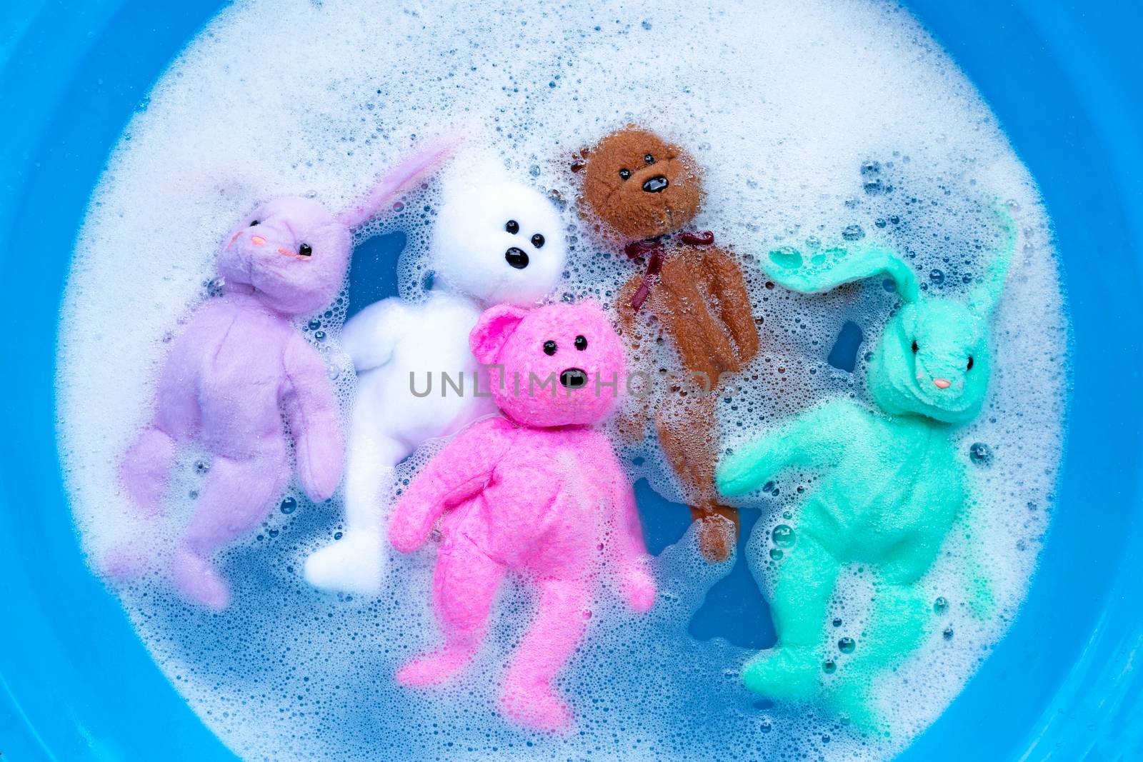 Soak rabbit dolls with  toy teddy bear in laundry detergent water dissolution before washing.  Laundry concept, Top view