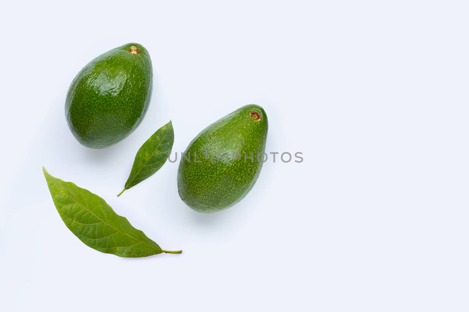 Avocado on white background. Copy space