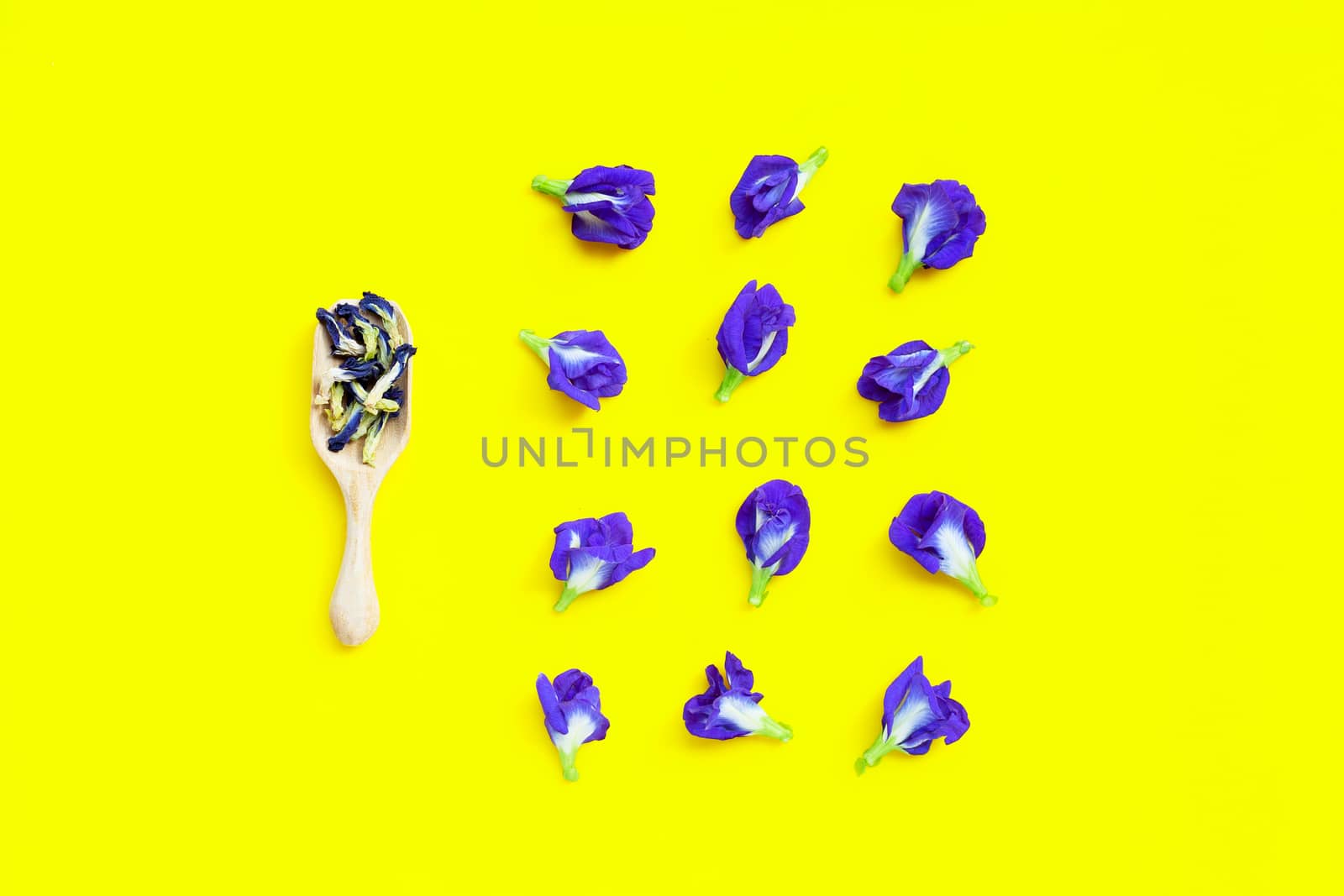 Dry Butterfly pea with fresh flower on yellow background. Top view