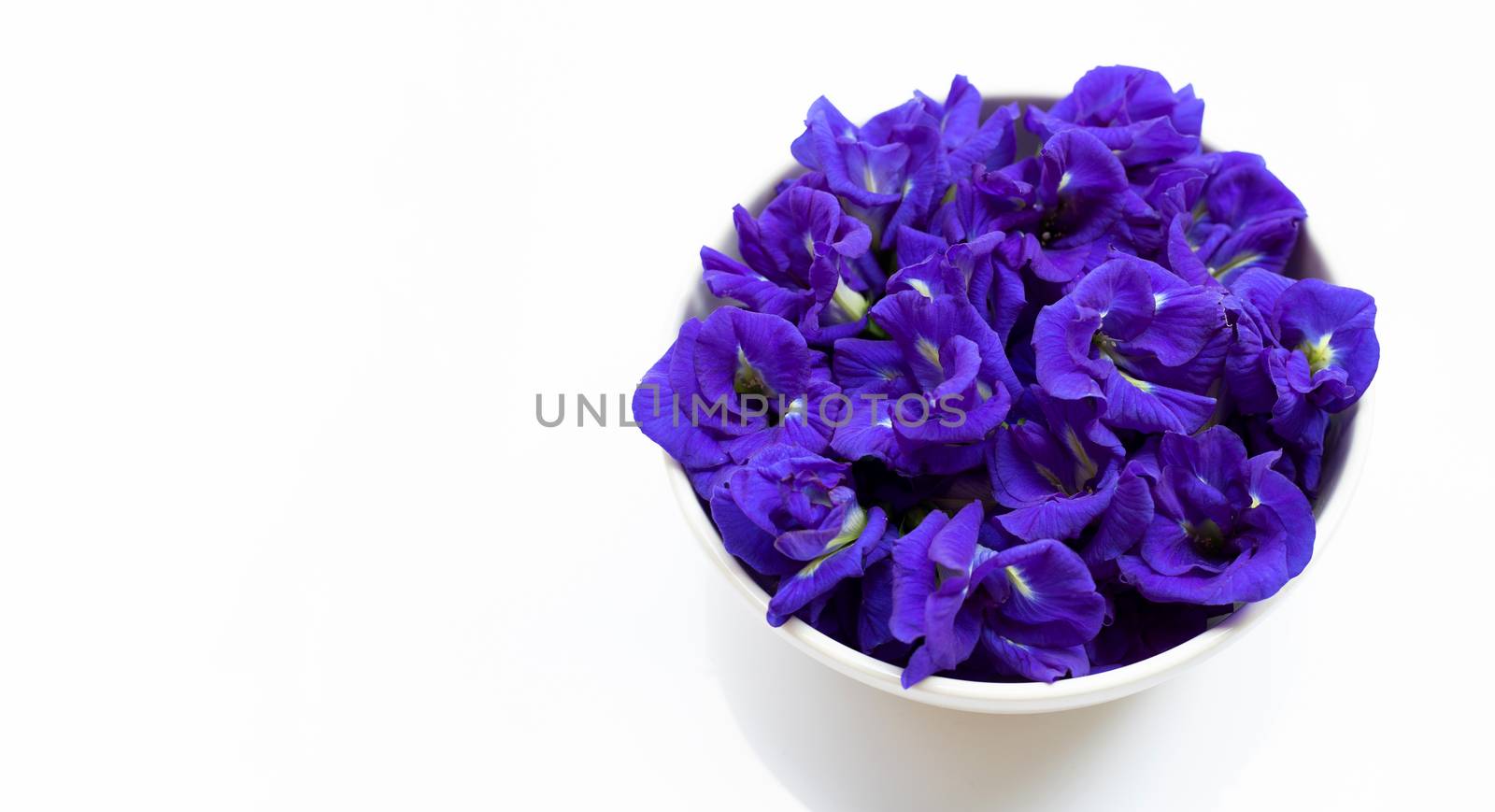 Blue butterfly pea flower on white background.