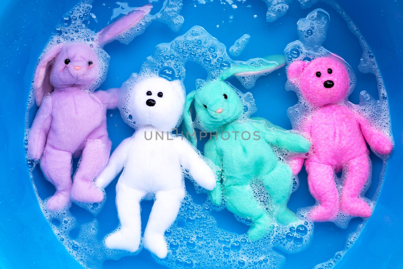 Soak rabbit doll with  toy teddy bear in laundry detergent water dissolution before washing.  Laundry concept, Top view