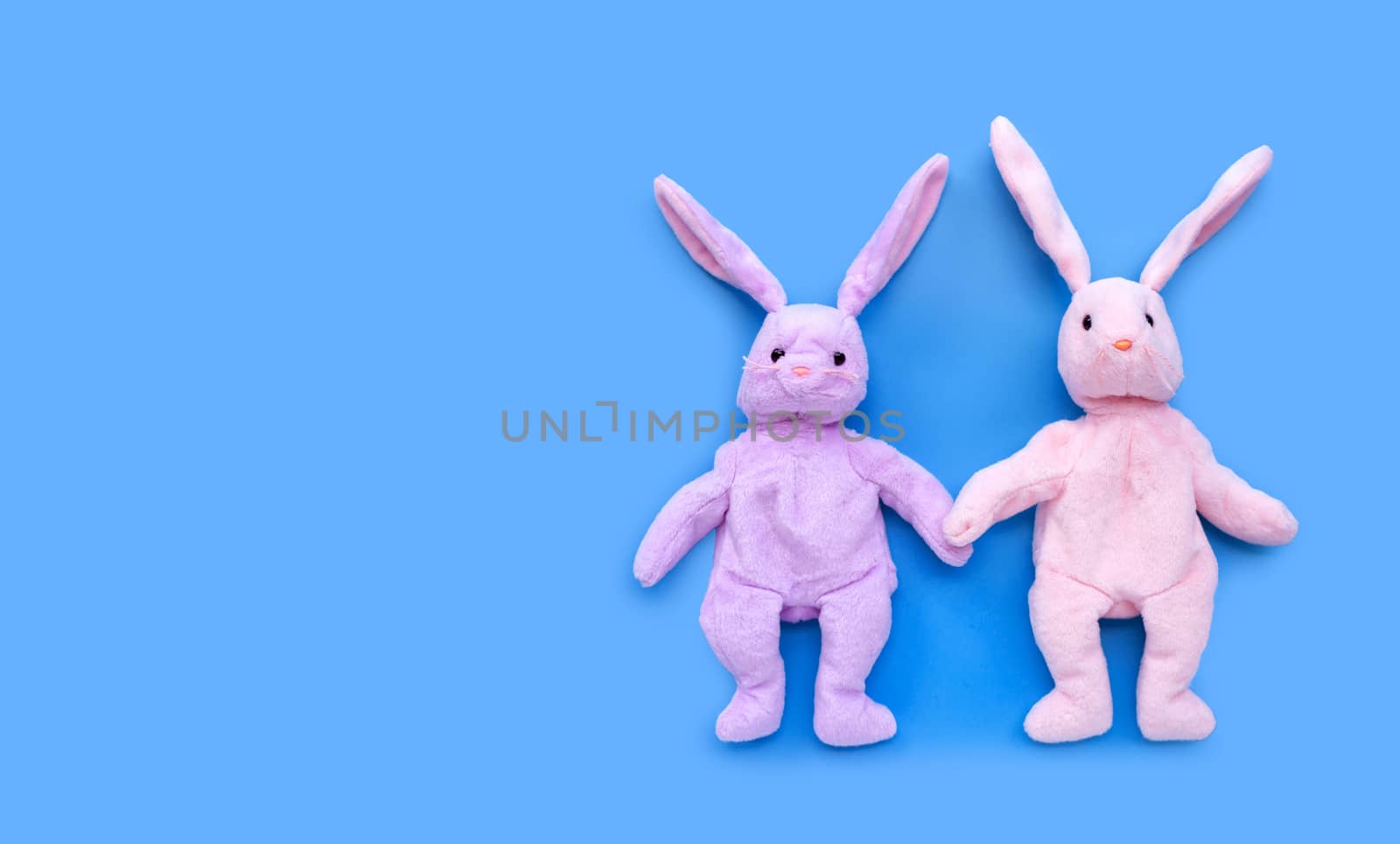 Rabbit toy couple on blue background.  by Bowonpat