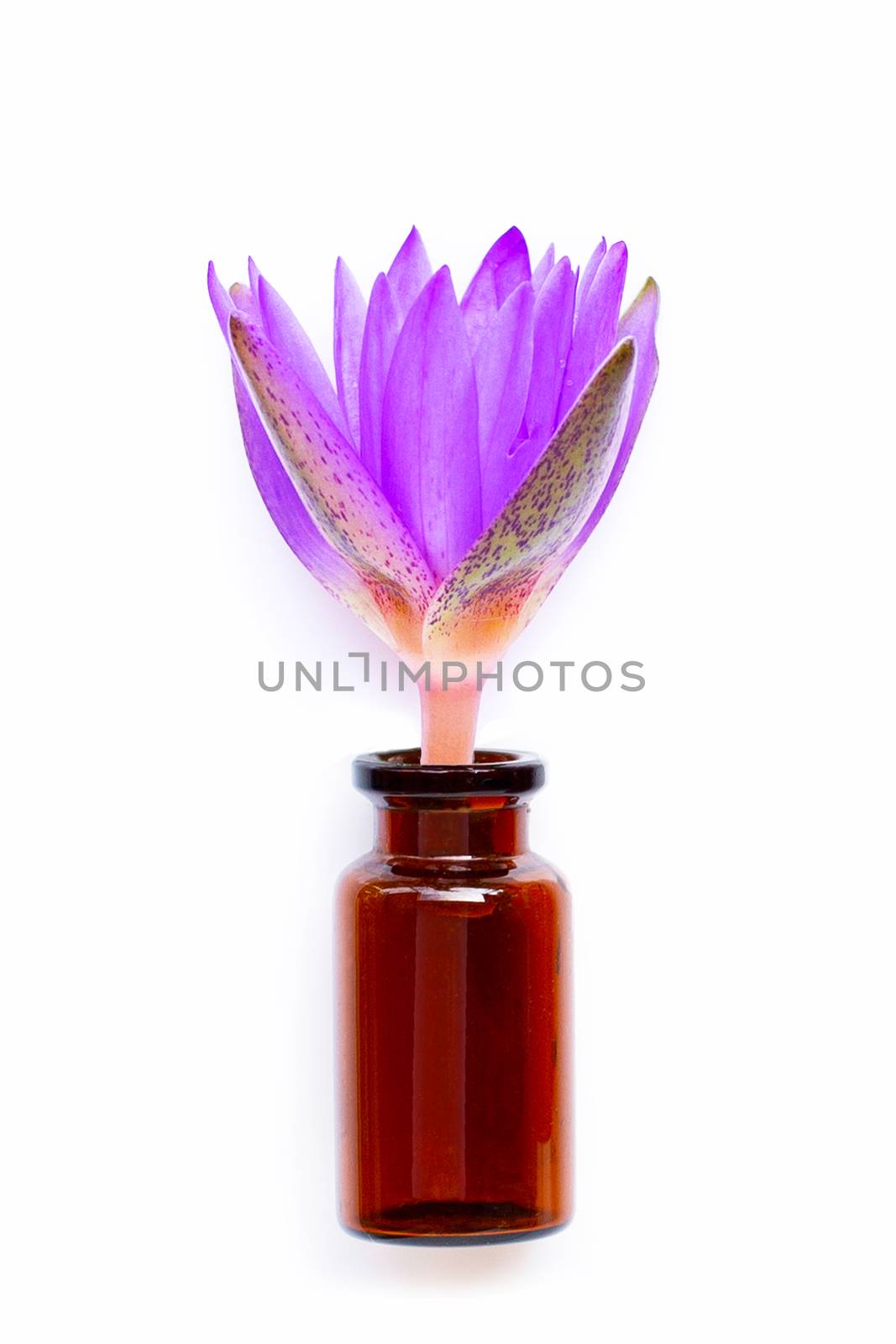 Essential oil bottle glass with  lotus flower on white background.