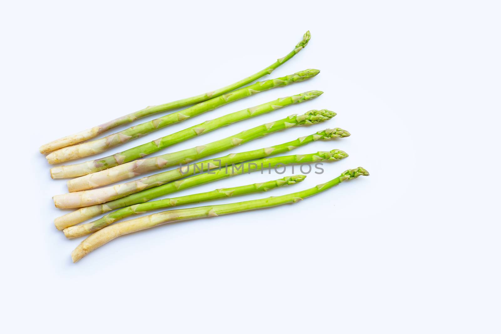 Fresh asparagus isolated on white background. Copy space