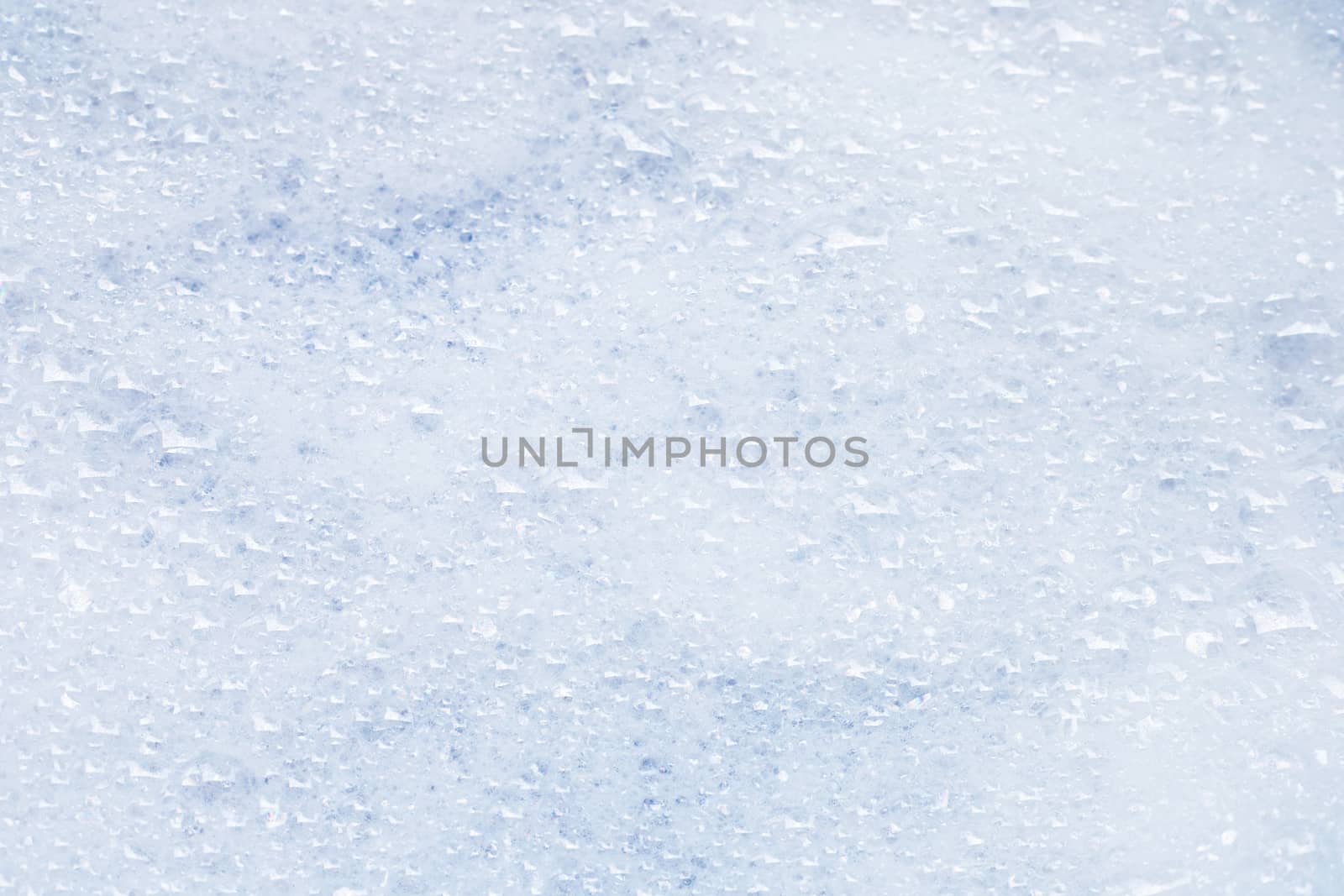 Detergent foam bubble. Top view