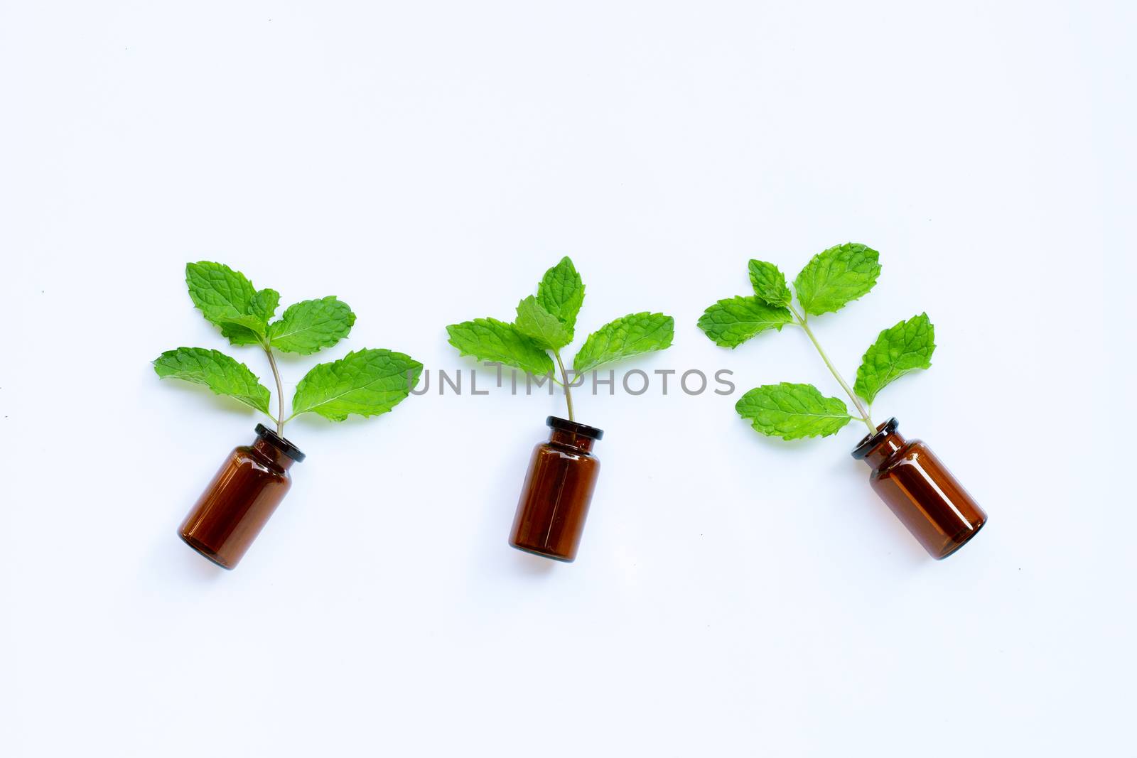 Essential oil bottle with fresh mint leaves on white background. 