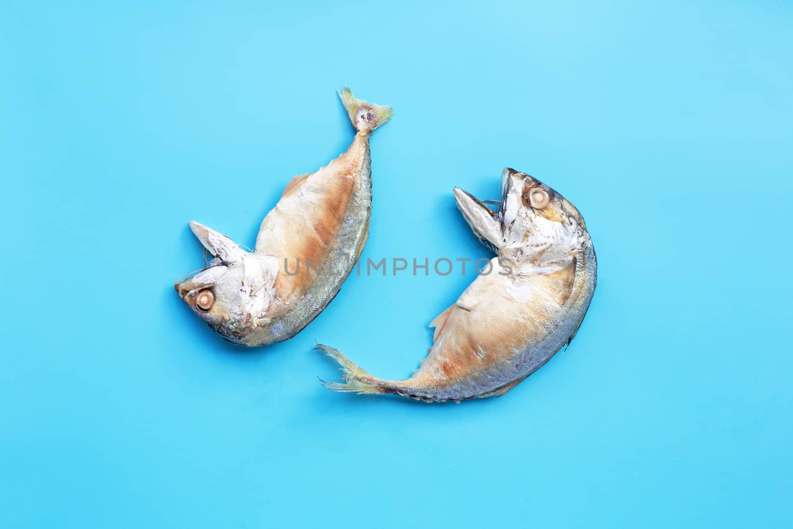 Short mackerel fish on blue background. Top view