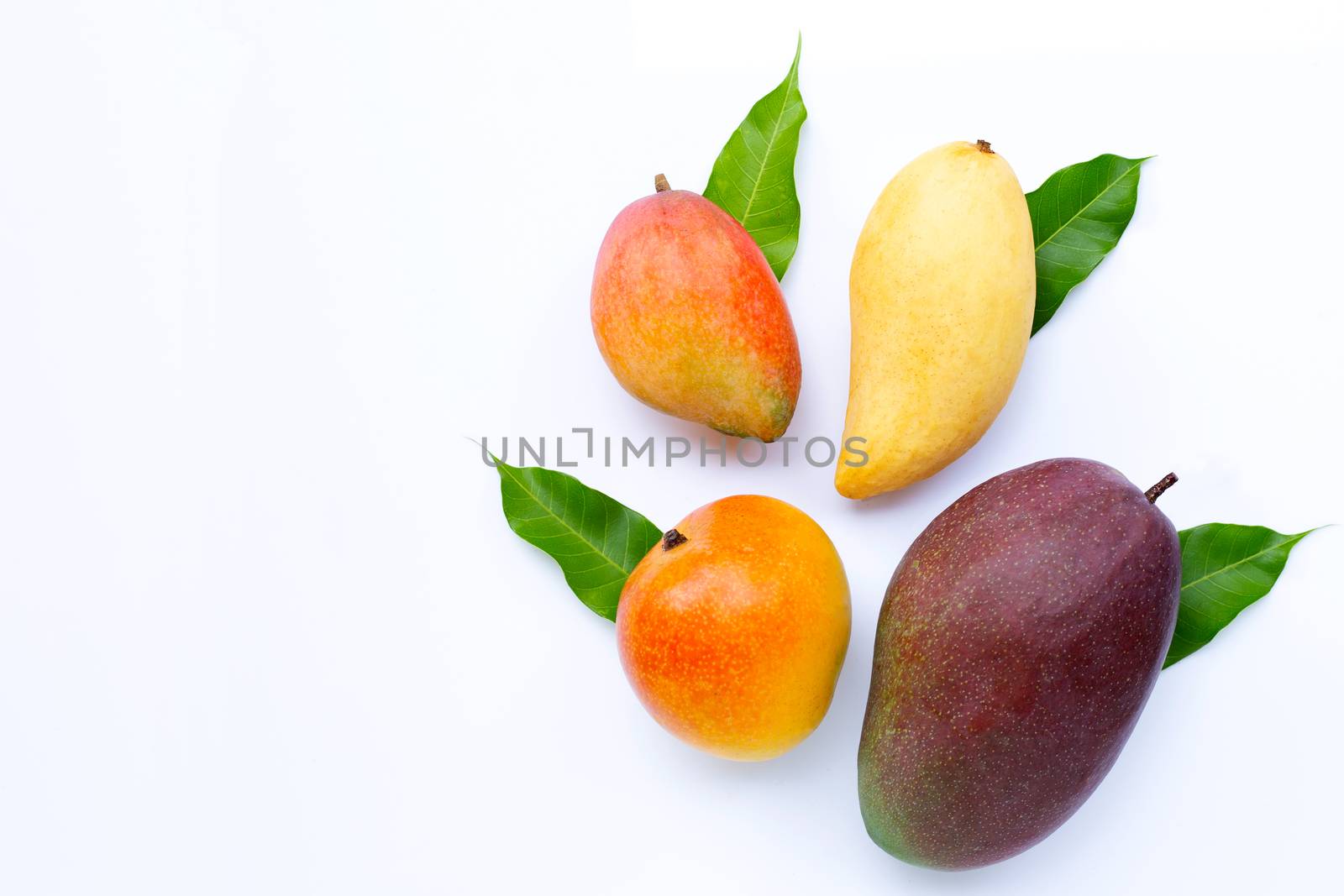 Tropical fruit, Mango  on white background. Top view
