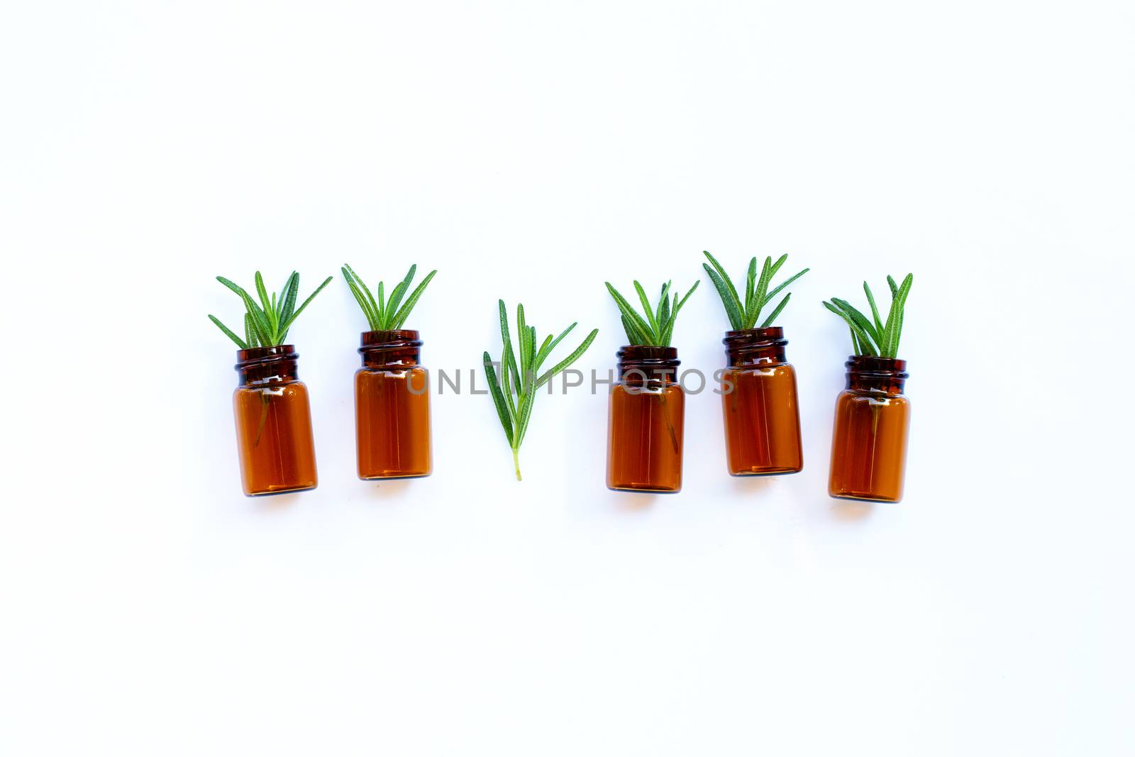 Fresh rosemary leaves with essential oil bottle on white background. Copy space