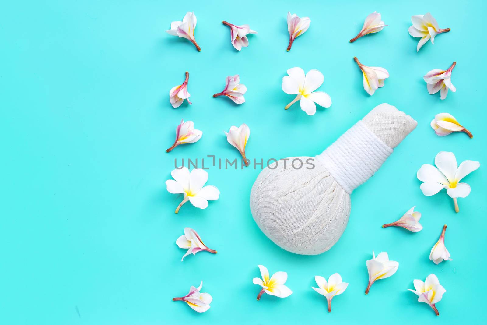 Plumeria or frangipani flower with herbal compress ball for Thai massage and spa treatment on blue background. Top view