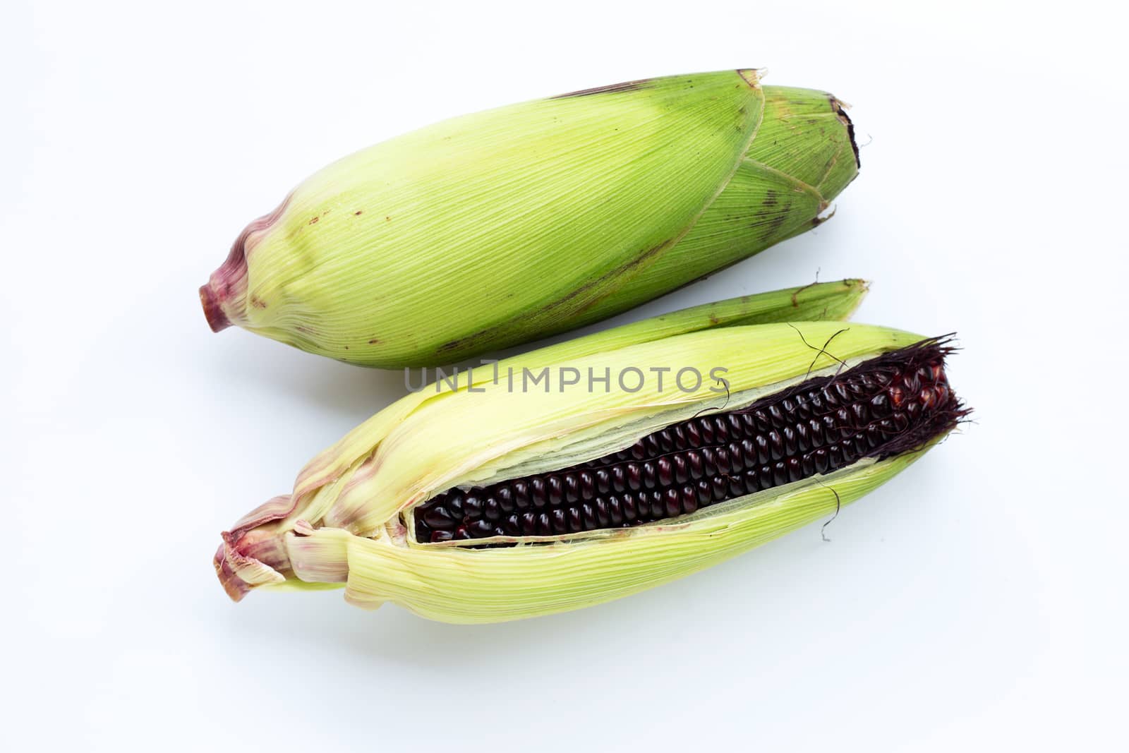 Black corn on a white background