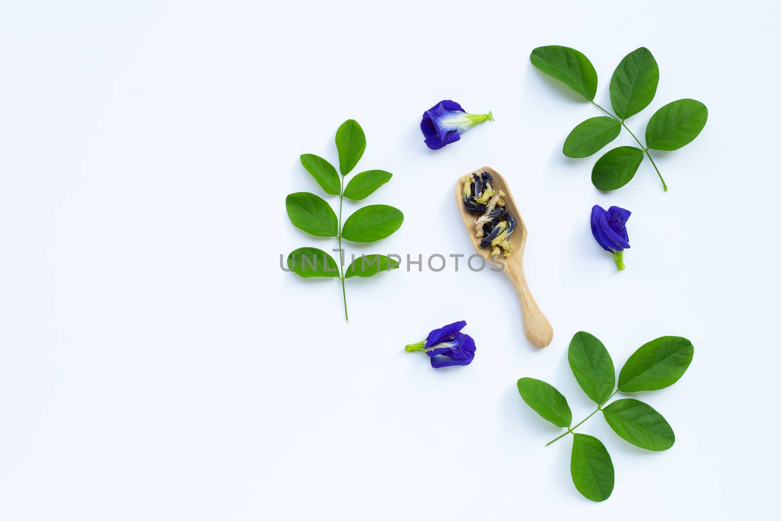 Dry Butterfly pea flower with green leaves on white background. Top view