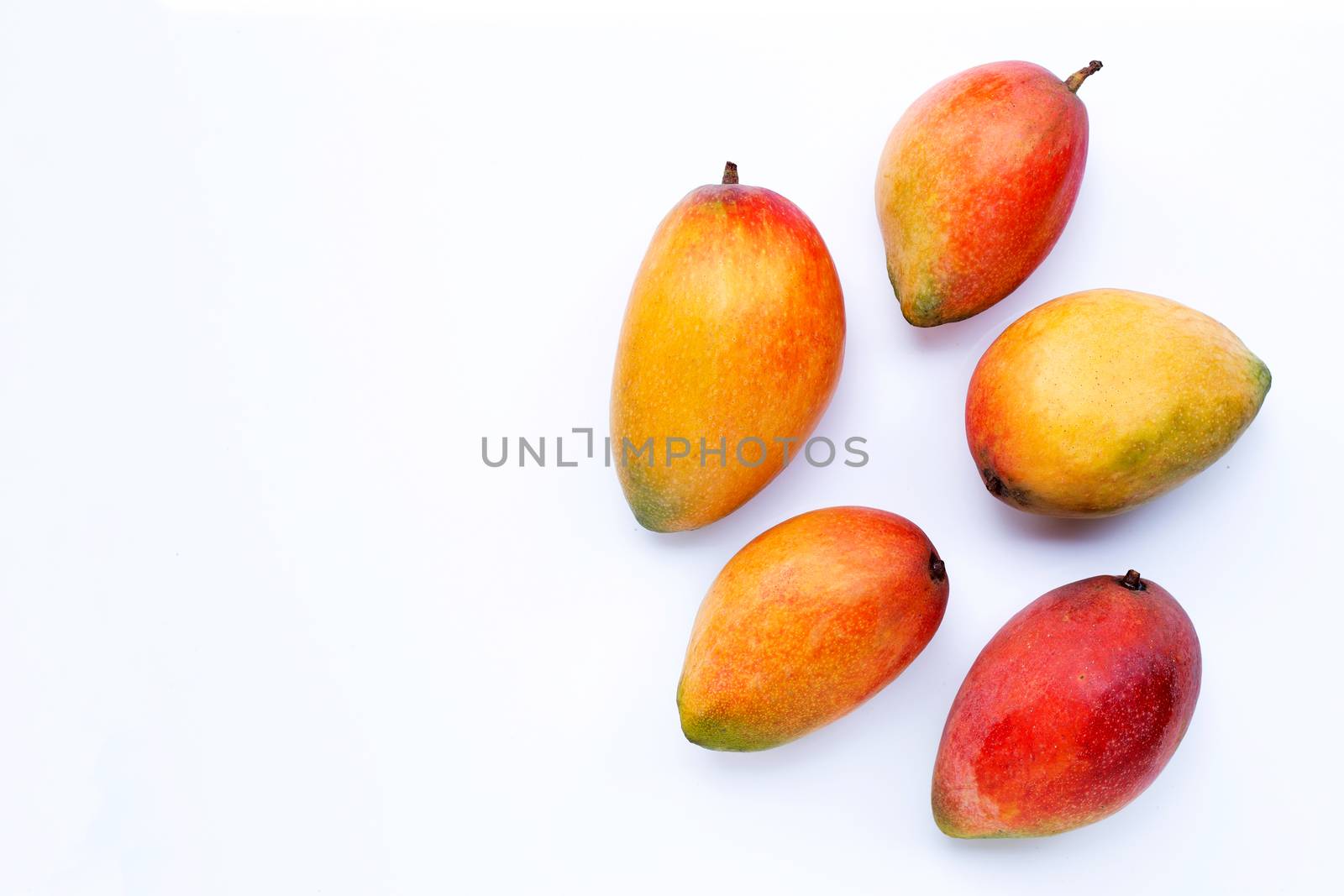 Tropical fruit, Mango on white background.  Copy space