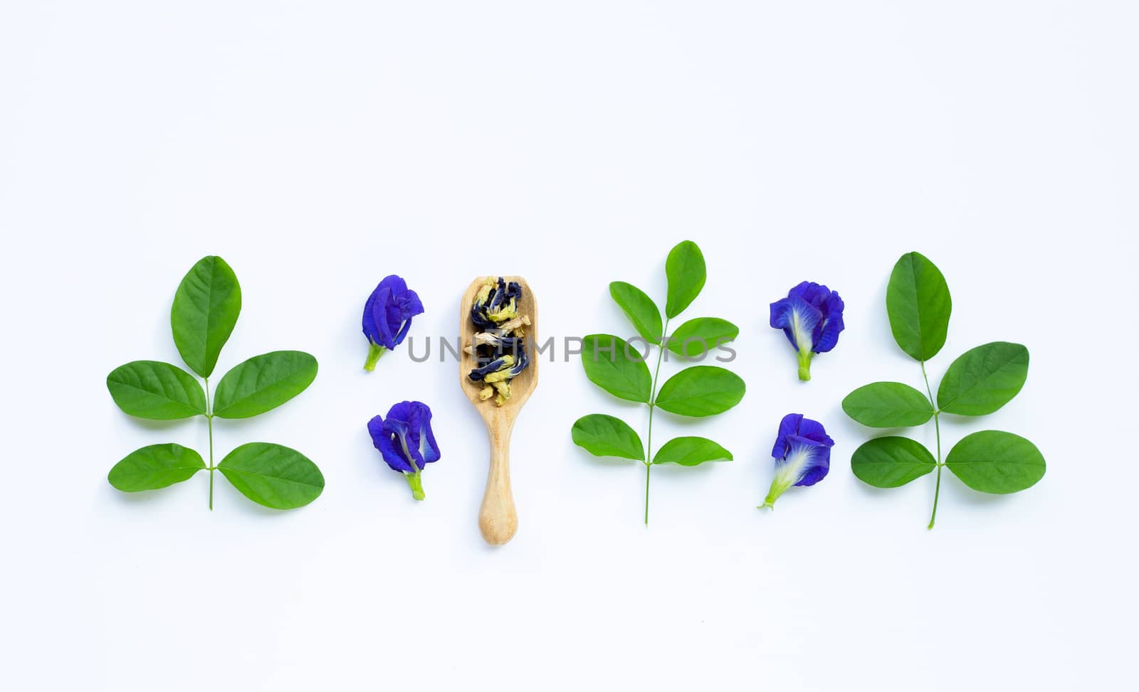 Dry Butterfly pea flower with green leaves on white background.