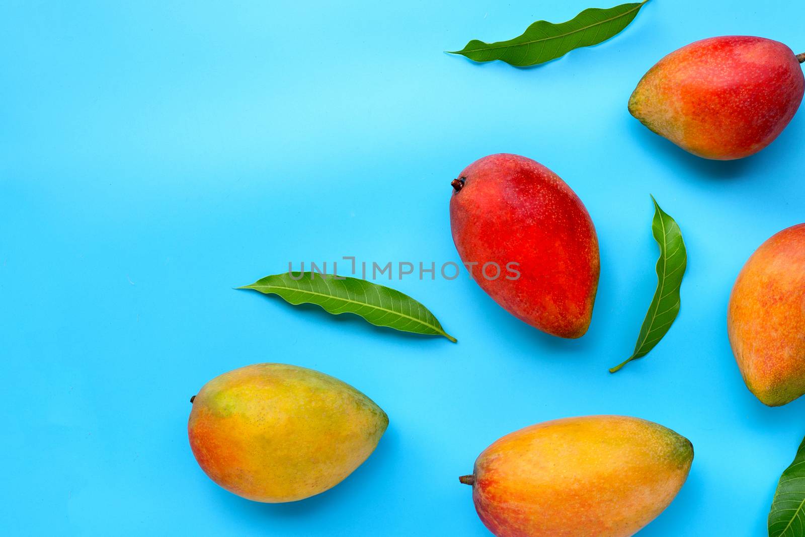 Tropical fruit, Mango  on blue background. Top view