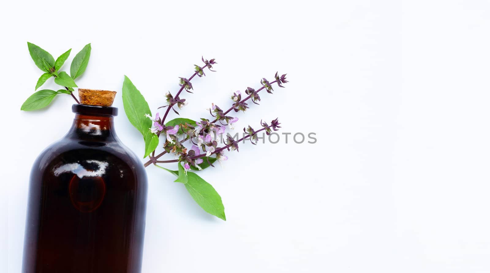 Essential oil bottle with fresh sweet basil leaves and flower on white background.