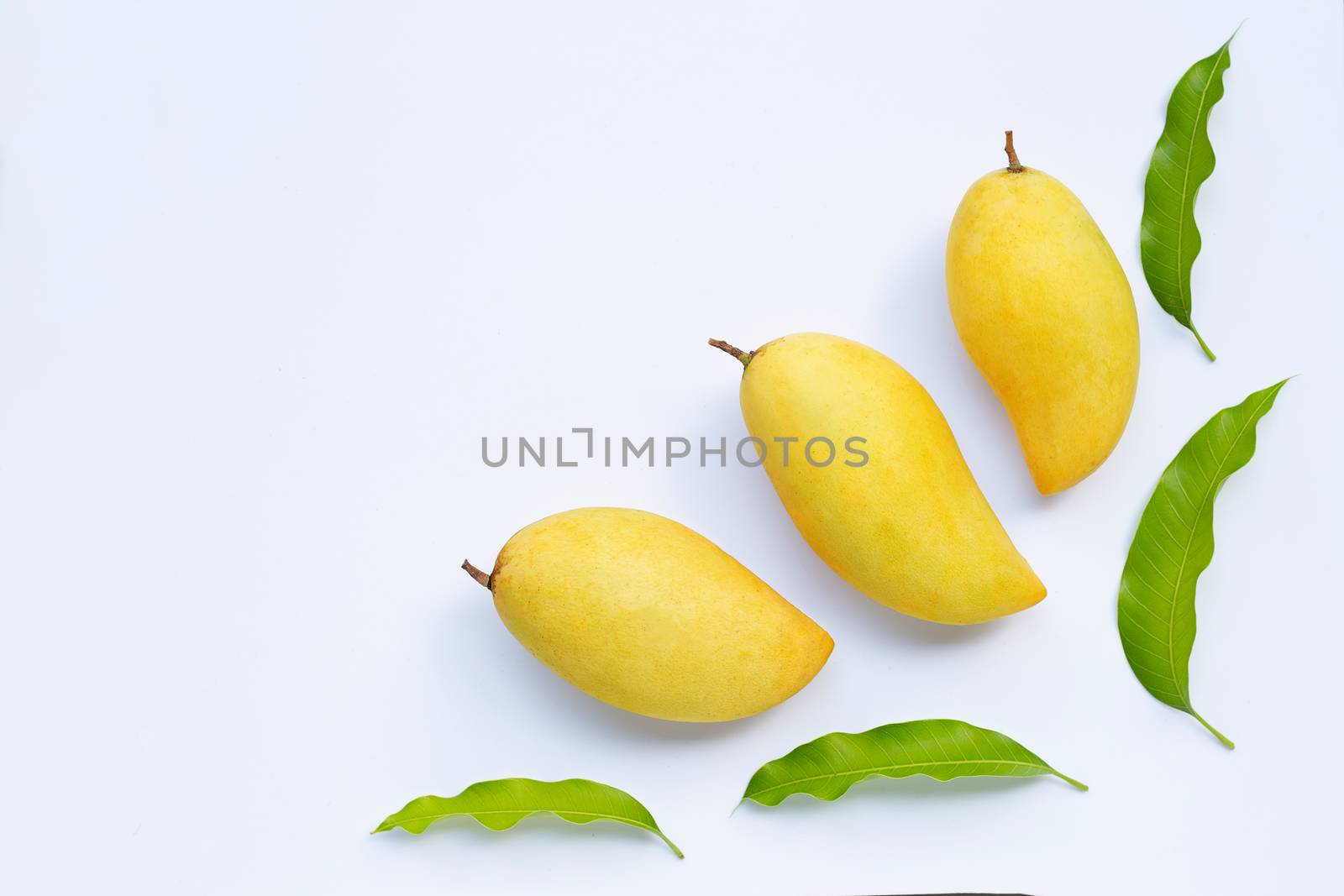 Tropical fruit, Mango  on white background. Top view with copy space