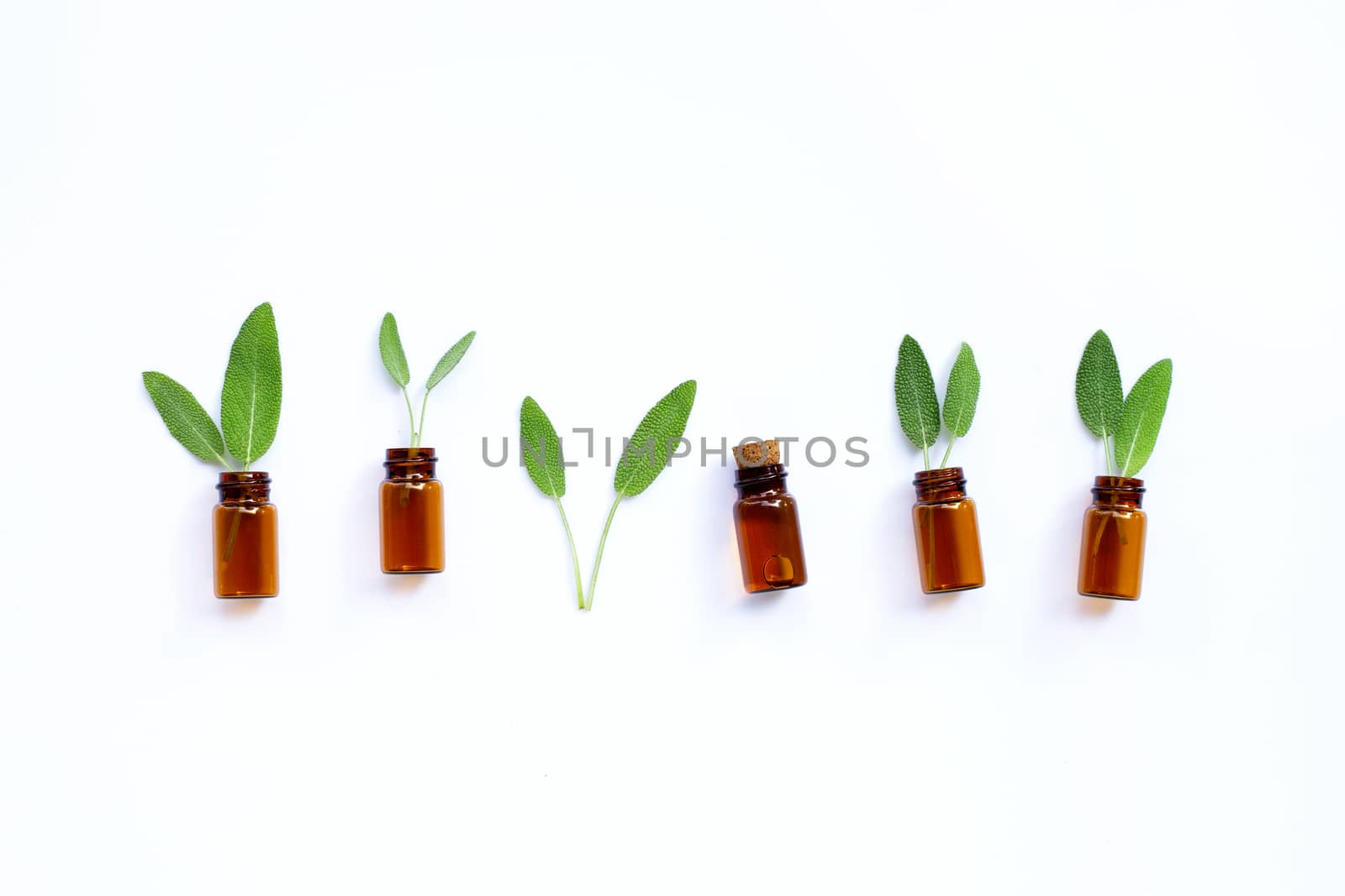 Essential oil with fresh sage leaves on white background. Top view
