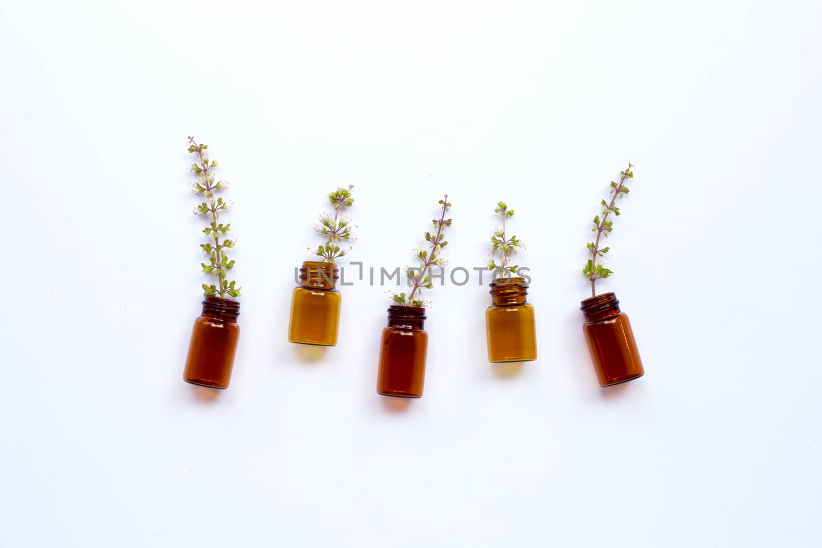 Empty essential oil bottles with holy basil flower on white background.