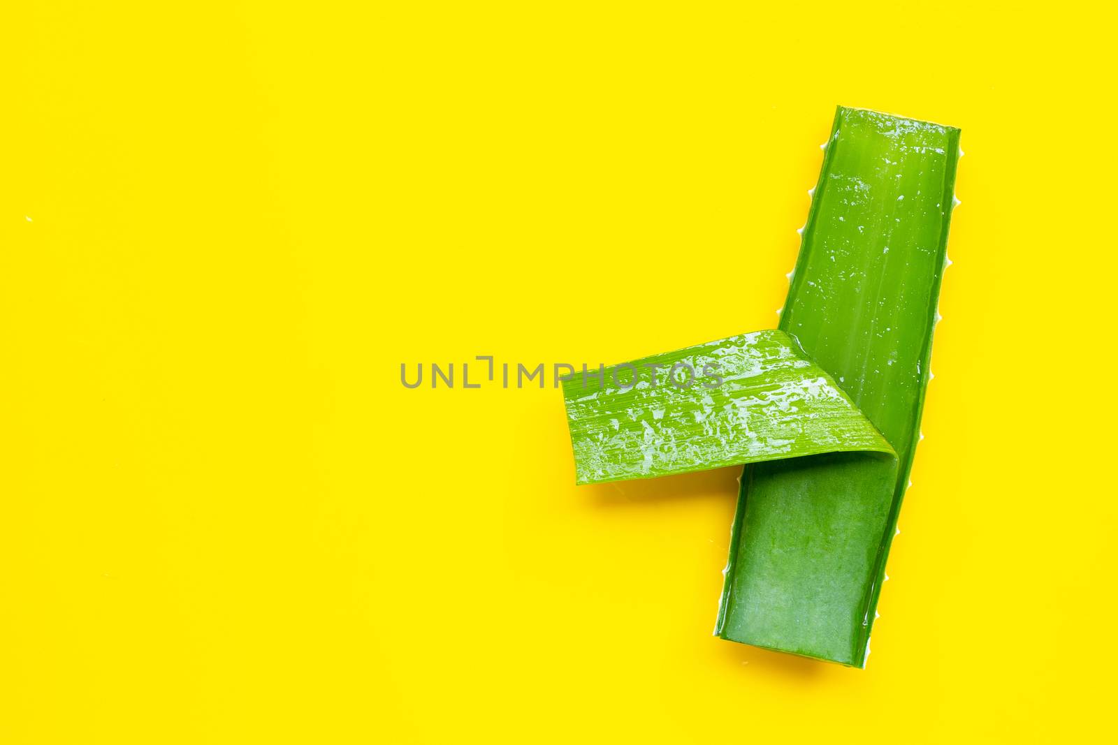 Aloe vera is a popular medicinal plant for health and beauty. Top view