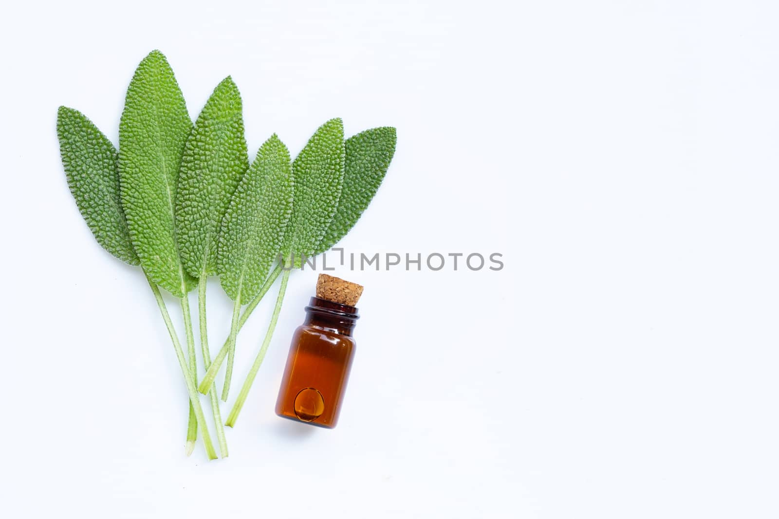 Essential oil with fresh sage leaves on white background. Top view