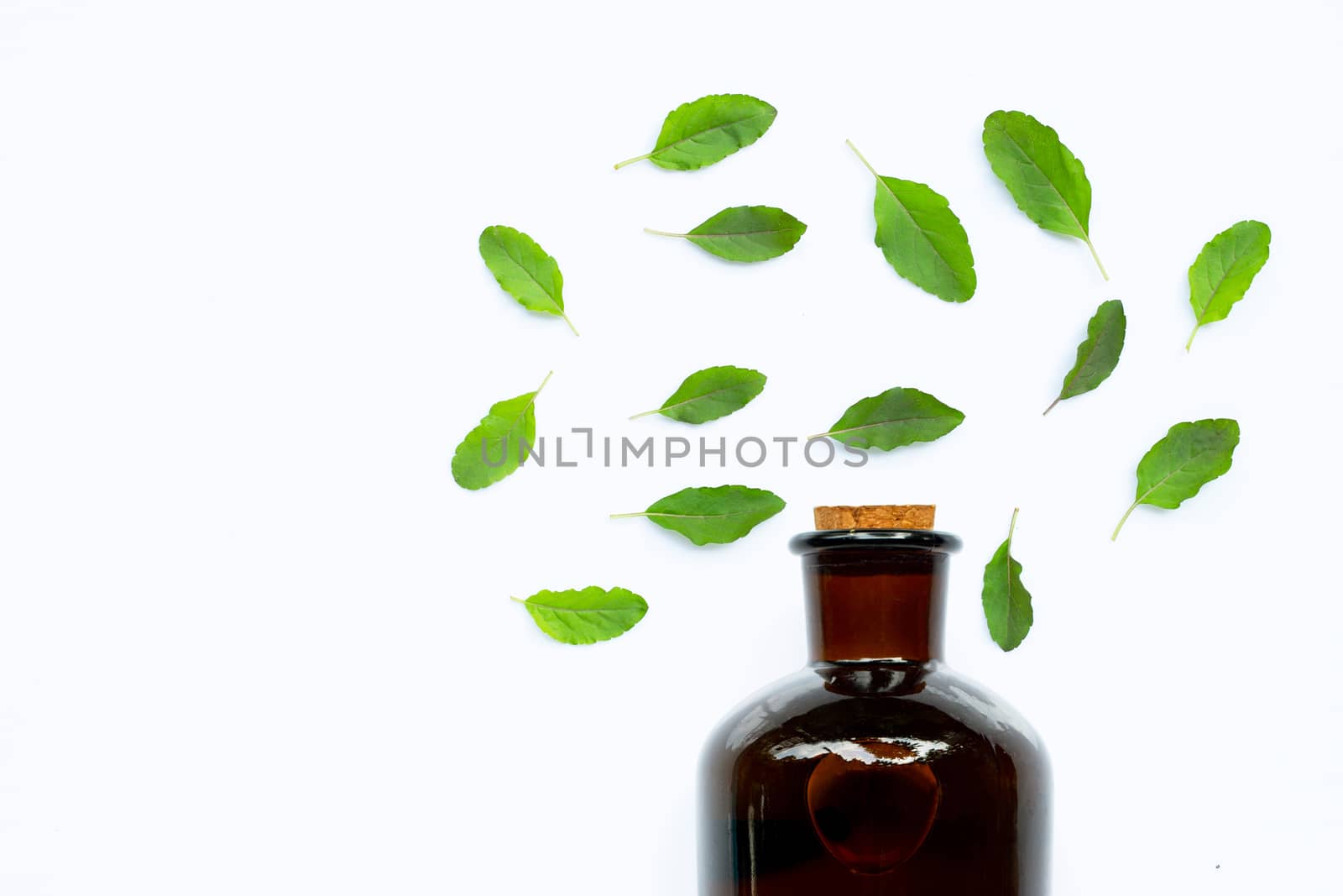 Bottle of essential oil with holy basil leaves on white background.