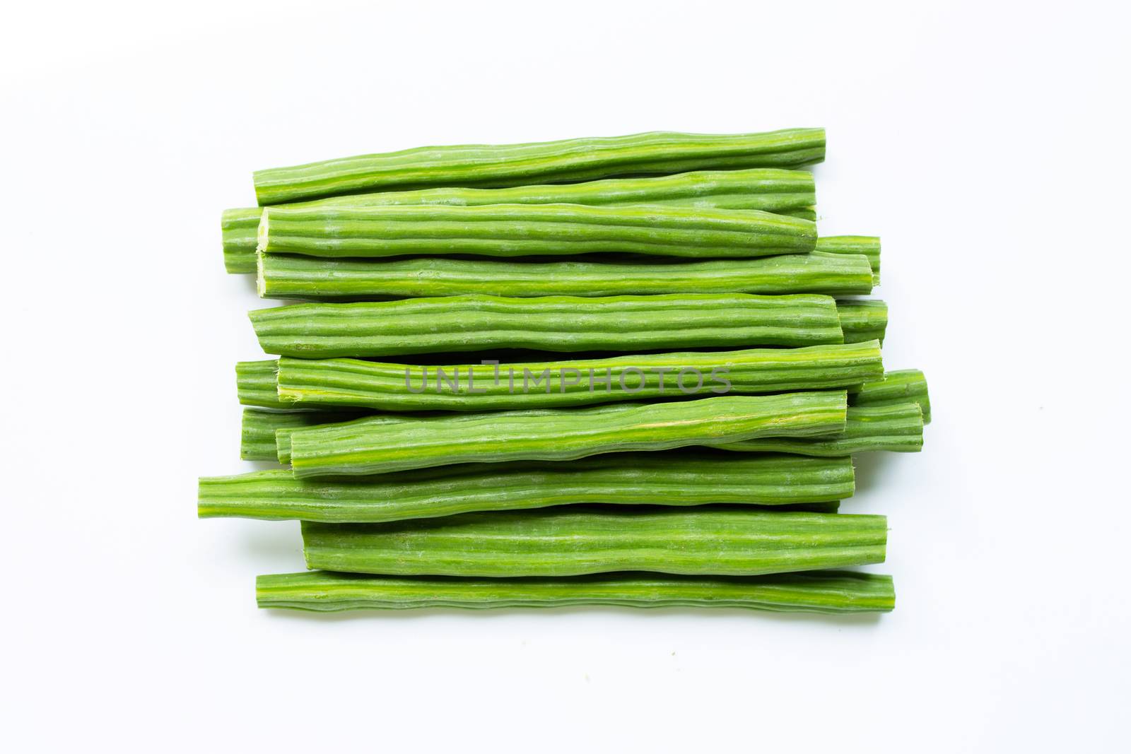 Moringa oleifera isolated on white background.